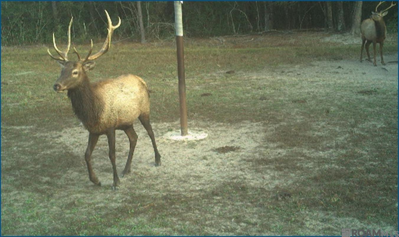 4240 JANA Lane, Kiln, MS, 39556