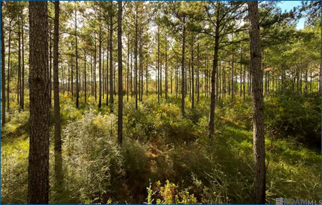 4240 JANA Lane, Kiln, MS, 39556