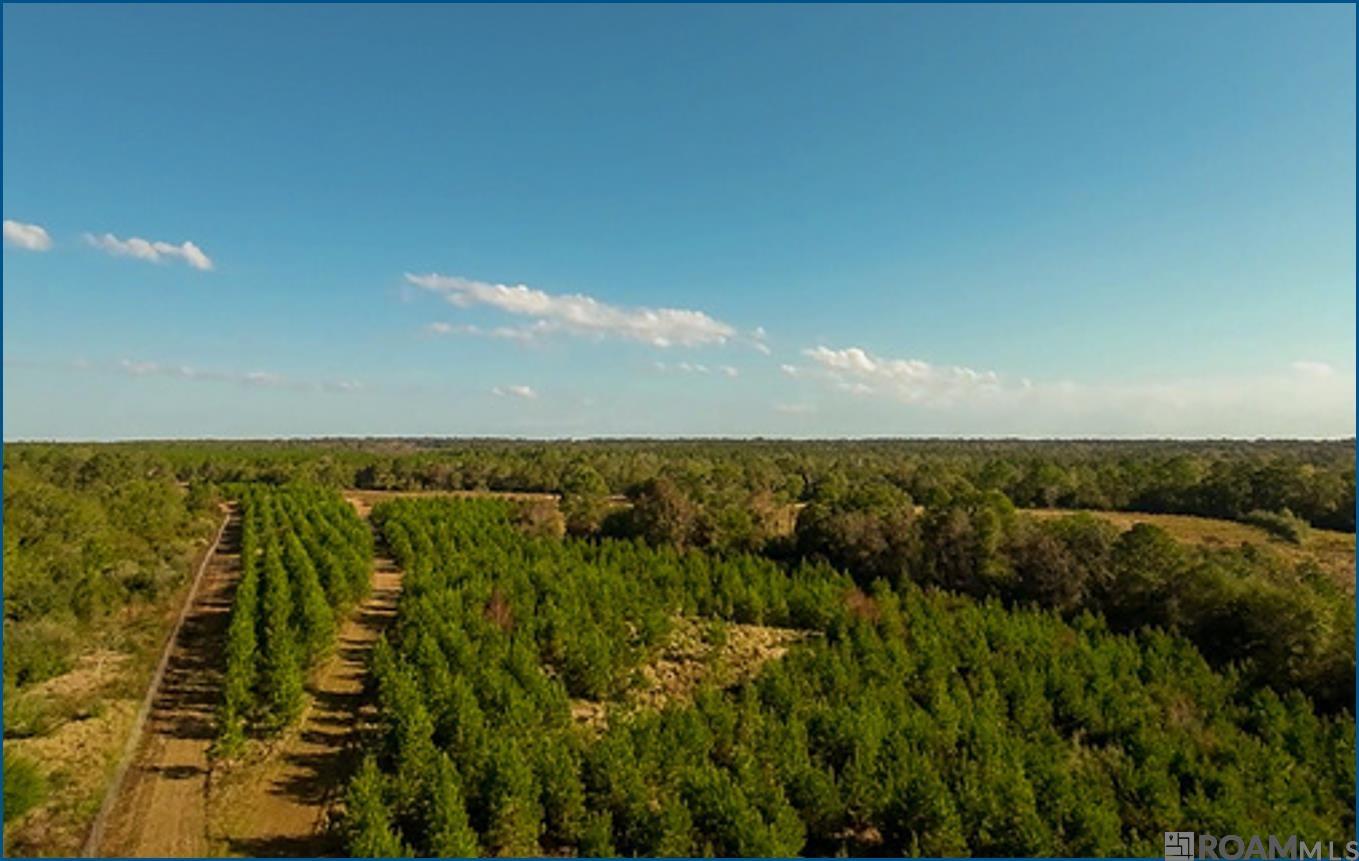 4240 JANA Lane, Kiln, MS, 39556