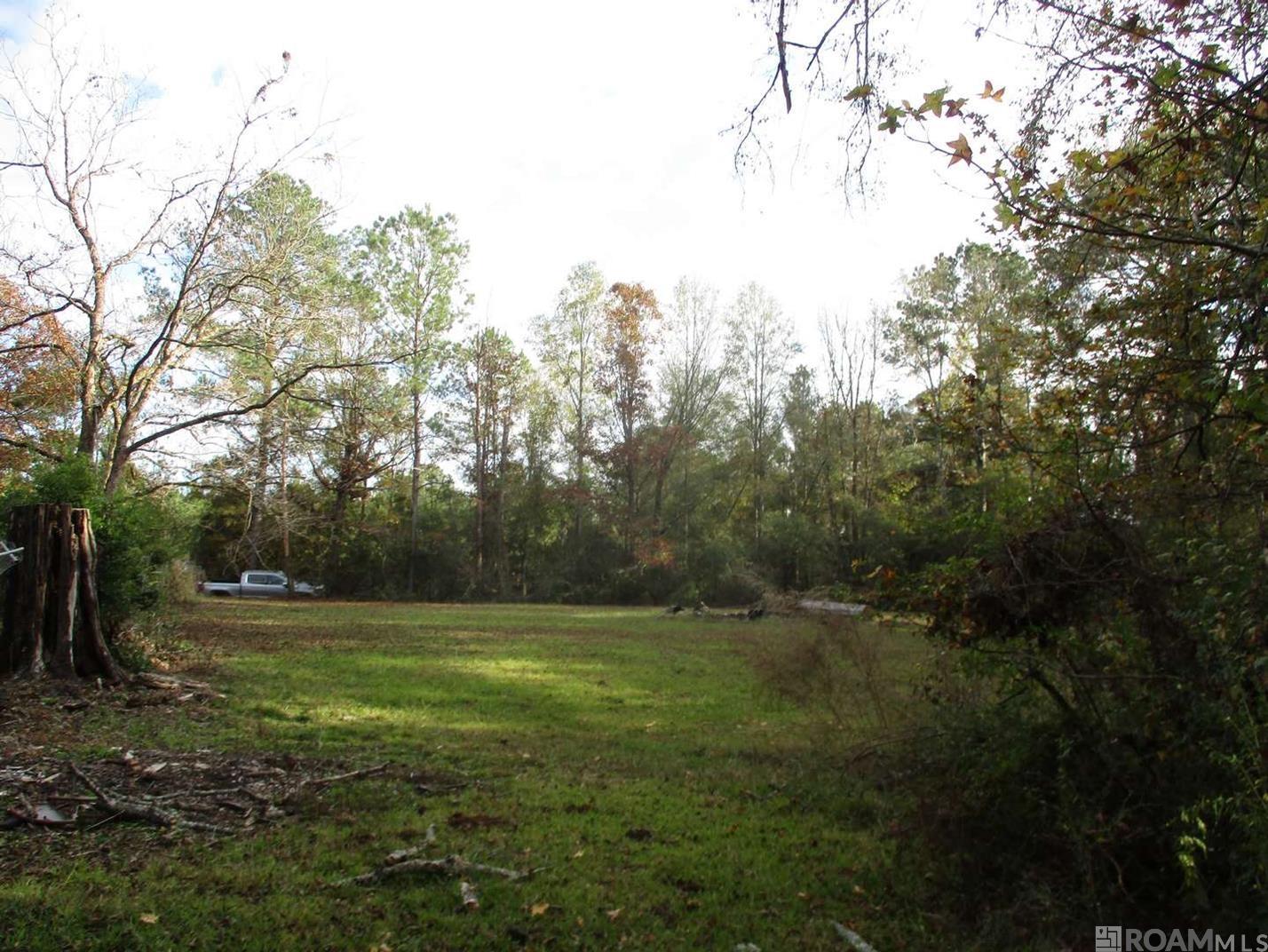 LOT B Perkins Rd, Norwood, LA, 70761