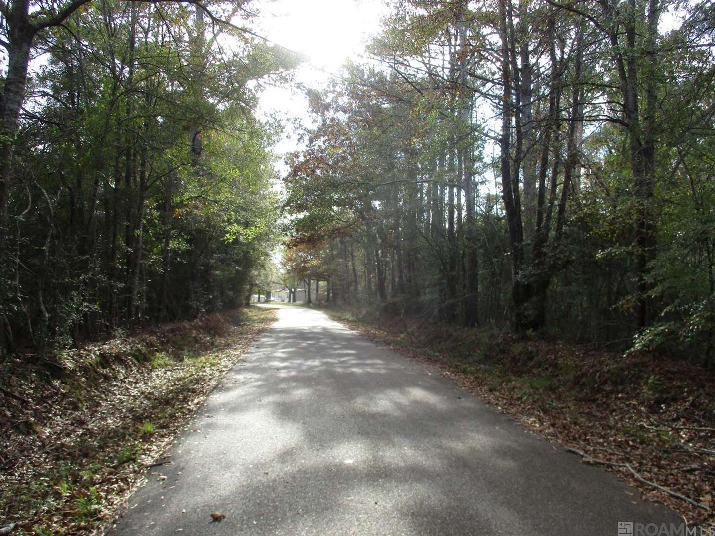 LOT B Perkins Rd, Norwood, LA, 70761