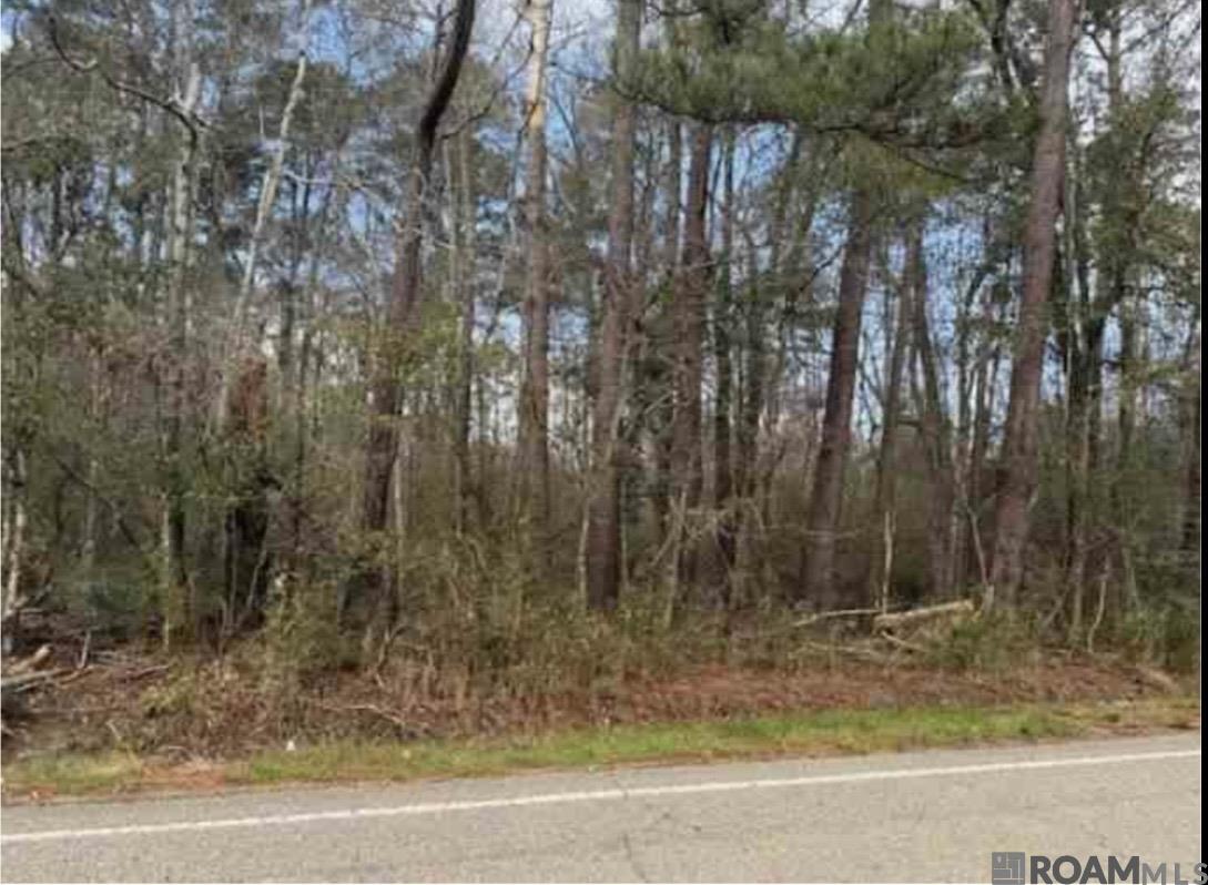 39054 Camp Dr, Prairieville, LA, 70769