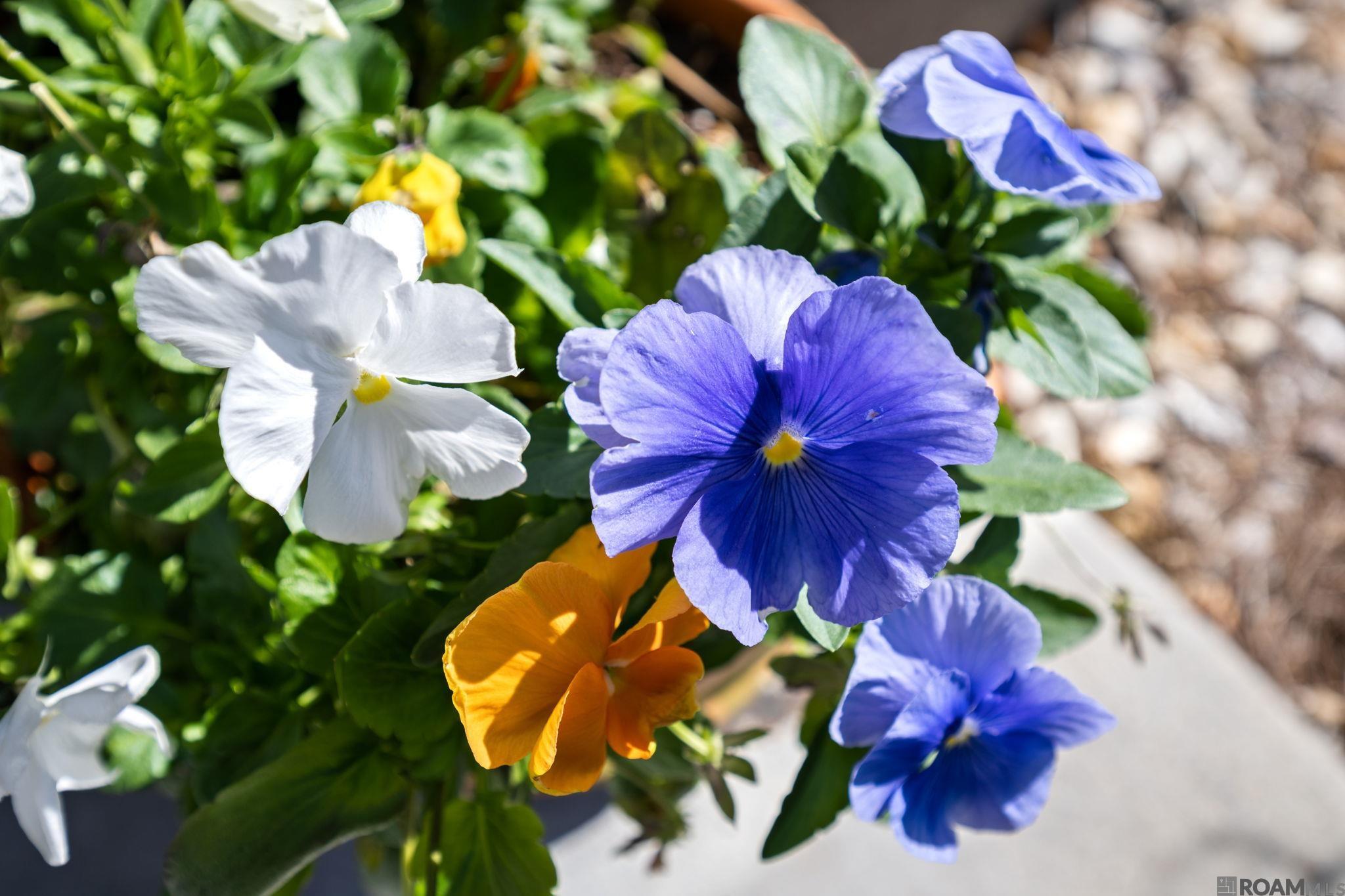 832 Marlstone Dr, Baton Rouge, LA, 70810