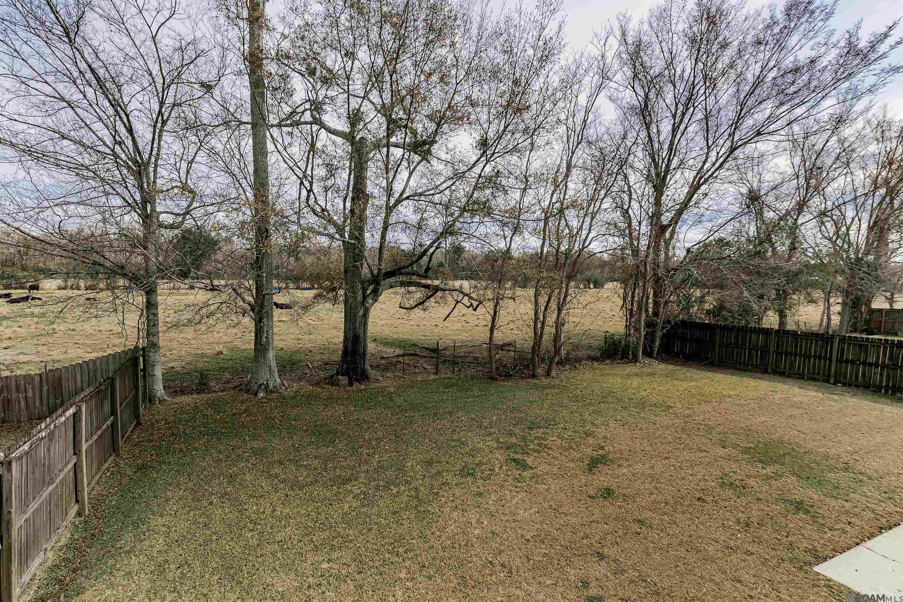 15454 Summer Trace Dr, Prairieville, LA, 70769