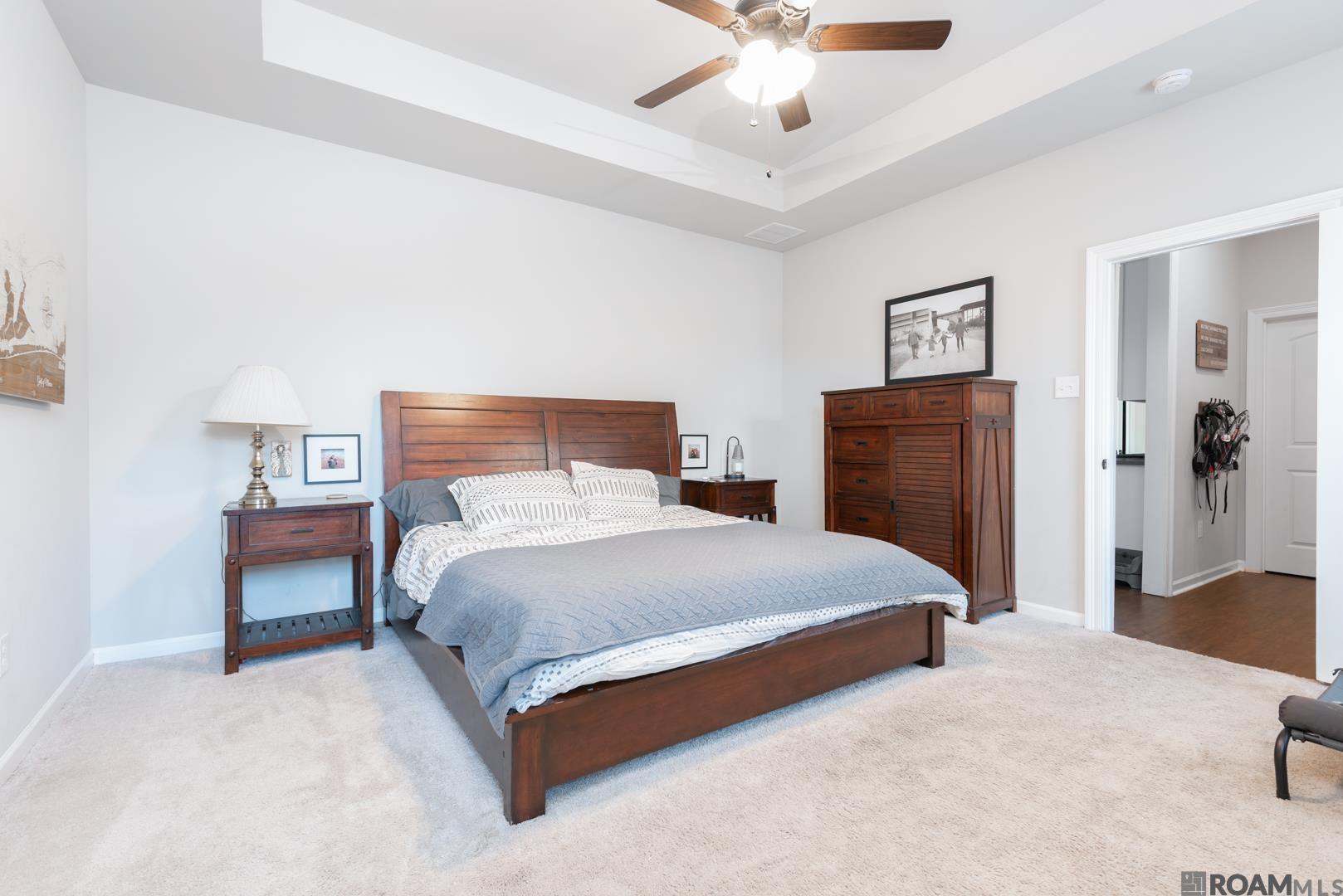 3887 Cane Ridge Dr, Addis, LA, 70710