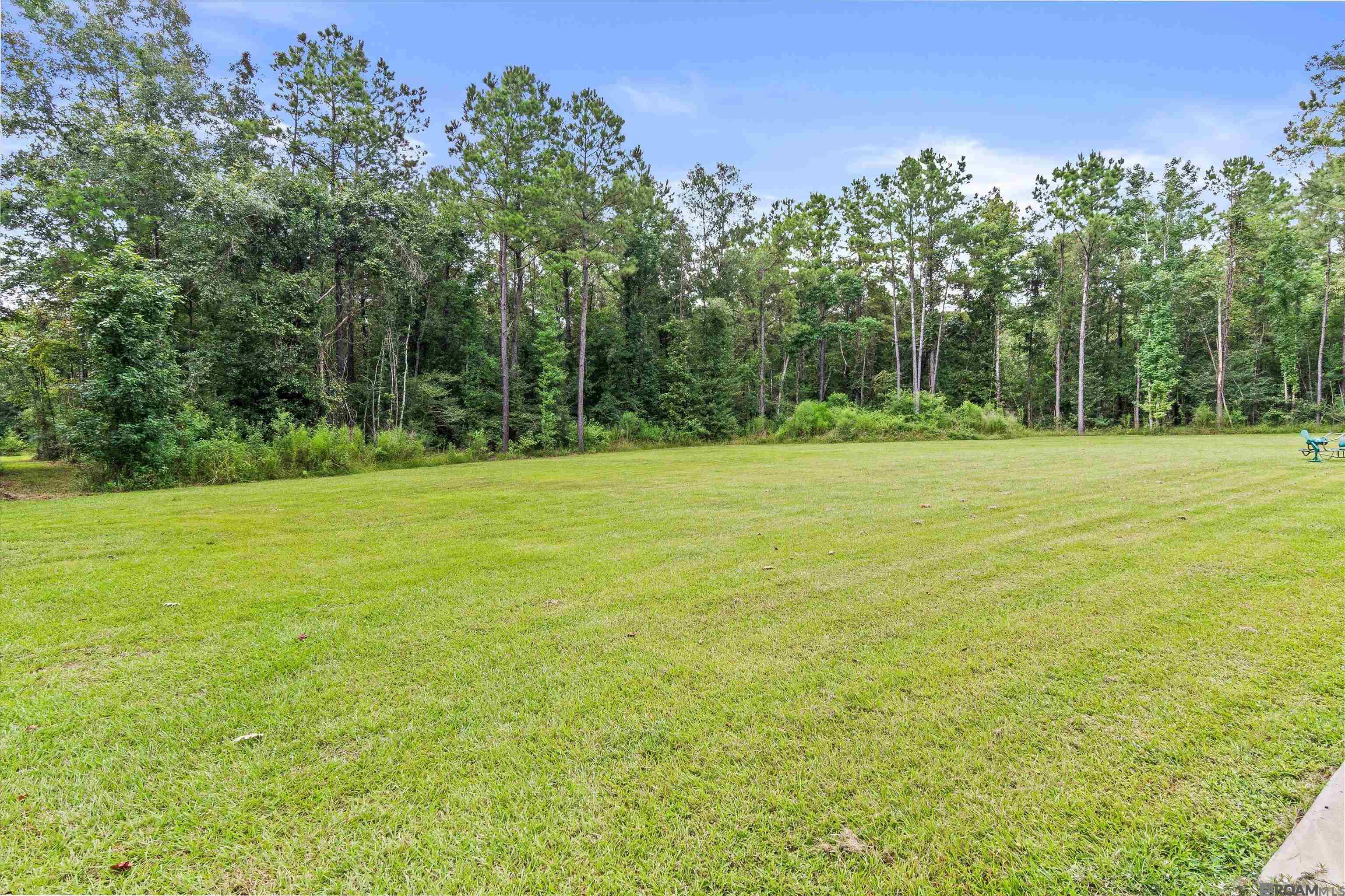 19646 King George, Livingston, LA, 70754