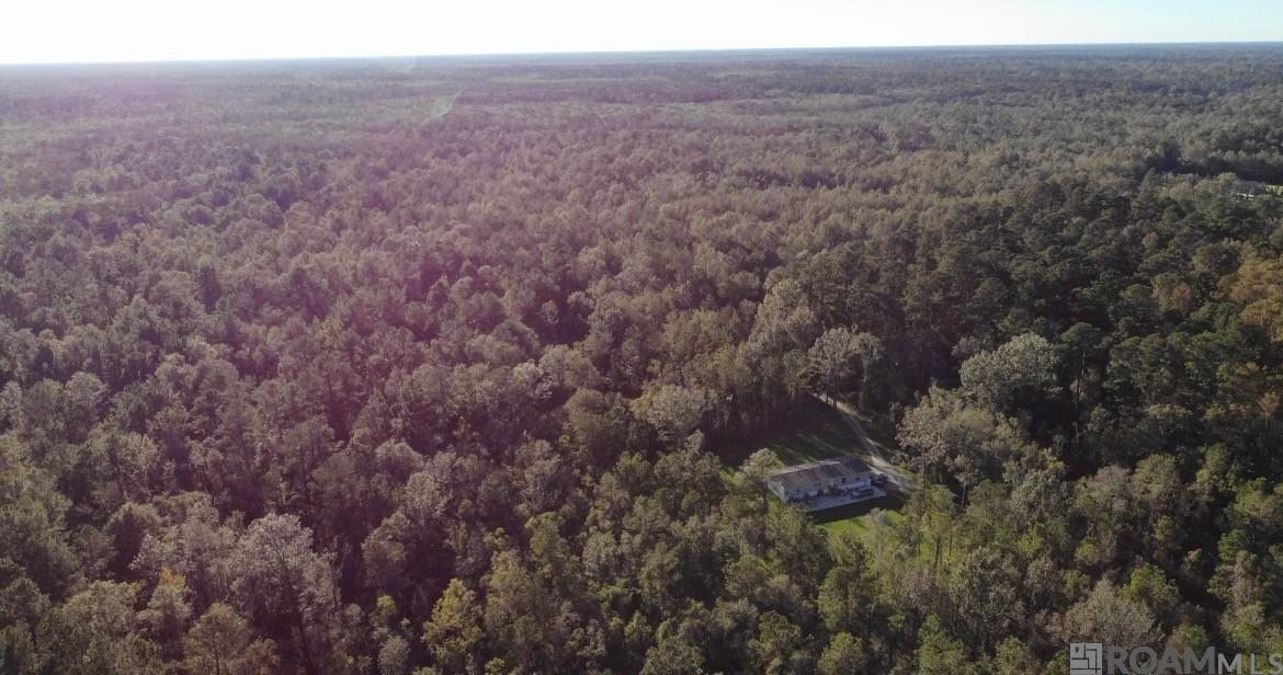 19646 King George, Livingston, LA, 70754