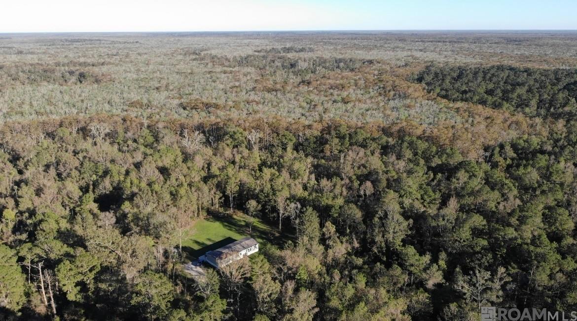 19646 King George, Livingston, LA, 70754