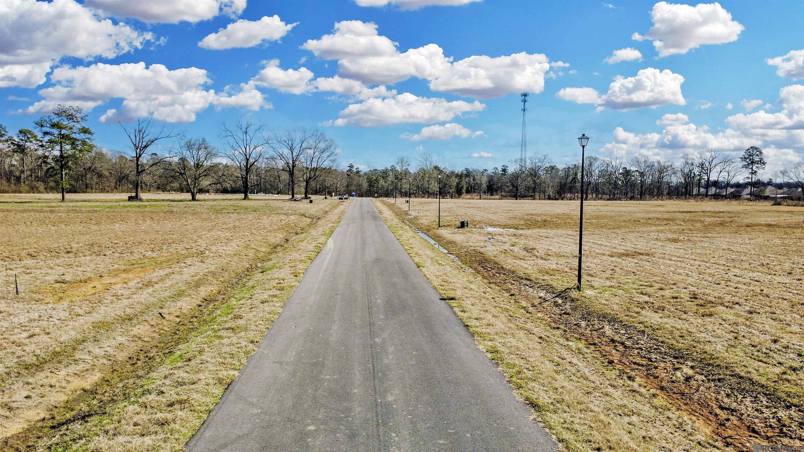Lot 21 Grandview Drive, Denham Springs, LA, 70726
