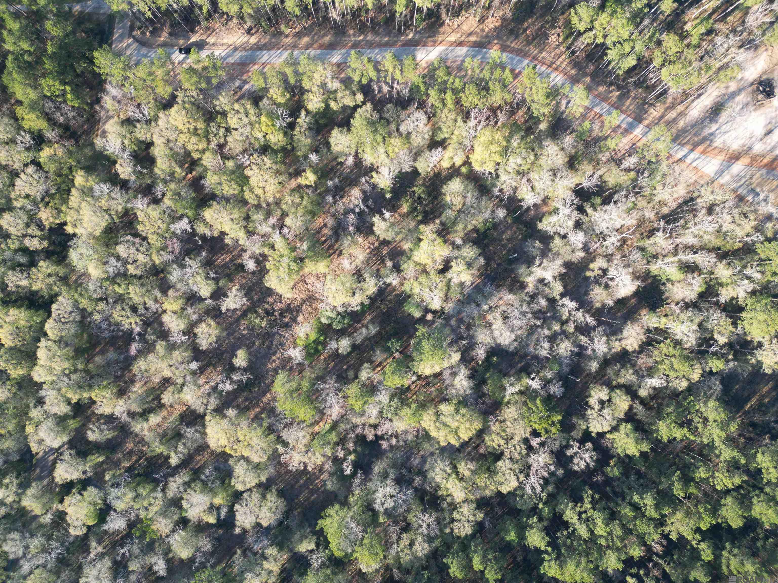 Lot 1 Livingston Farms Lane, Livingston, LA, 70754