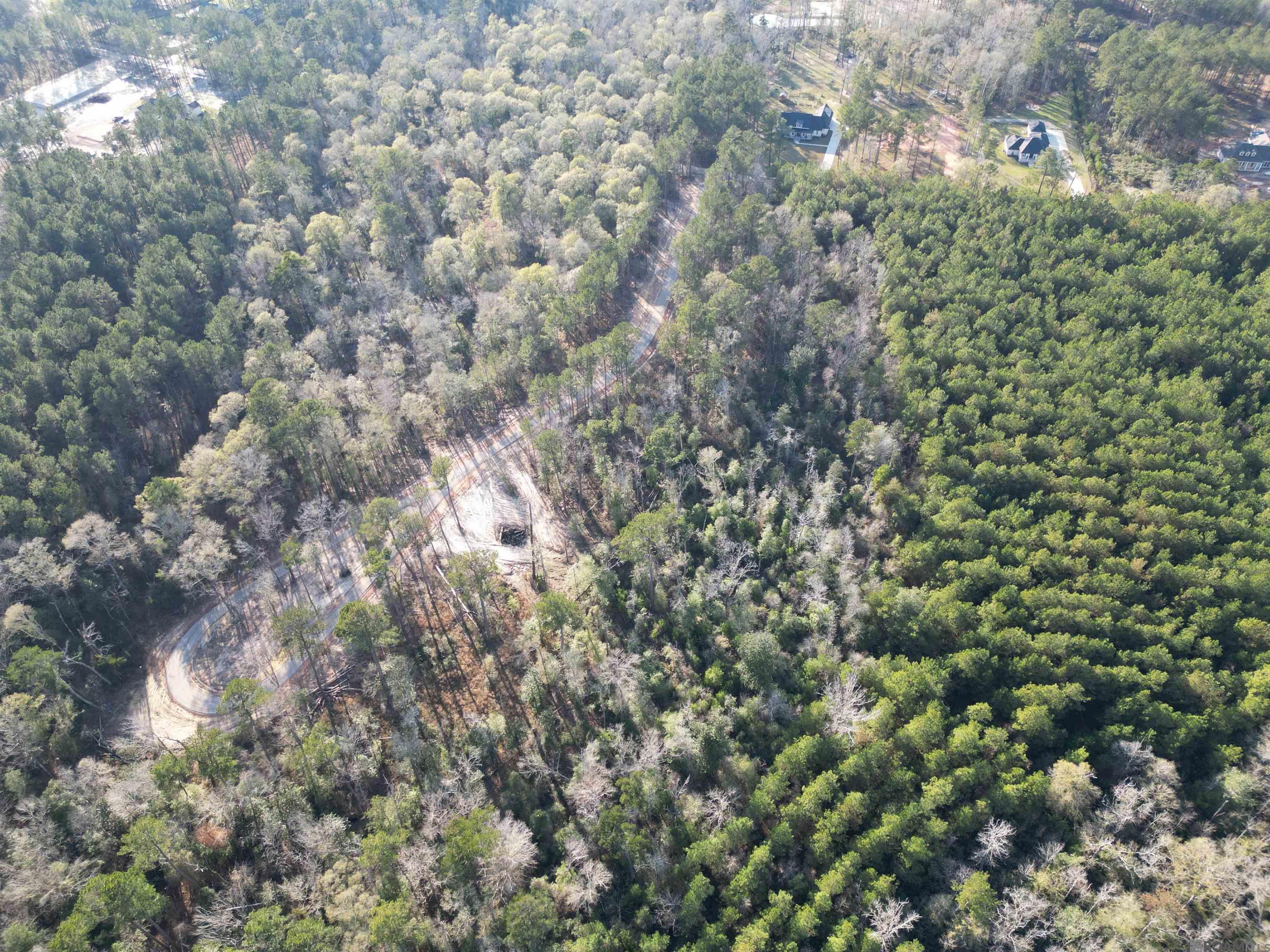 Lot 1 Livingston Farms Lane, Livingston, LA, 70754