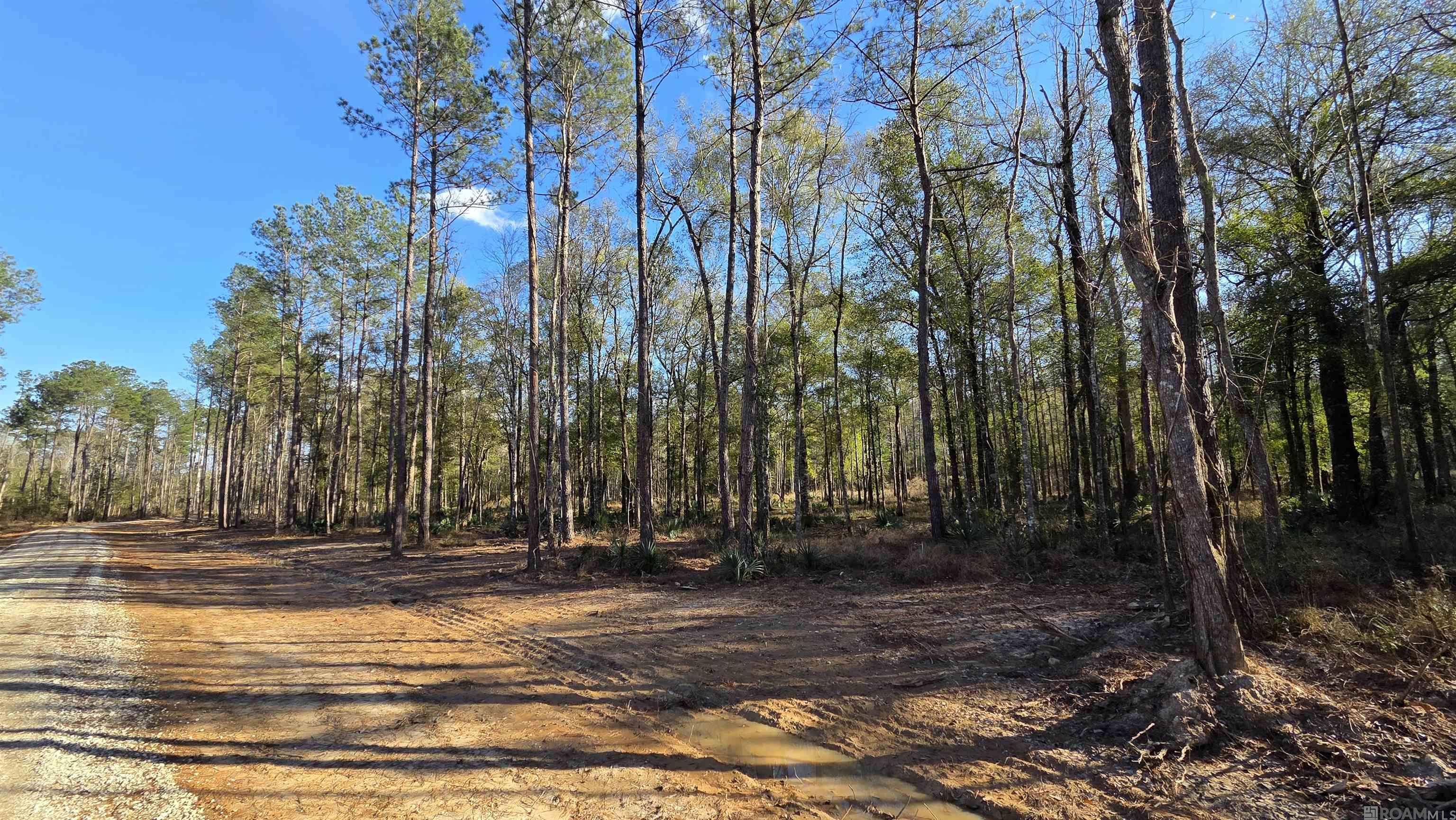 Lot 1 Livingston Farms Lane, Livingston, LA, 70754