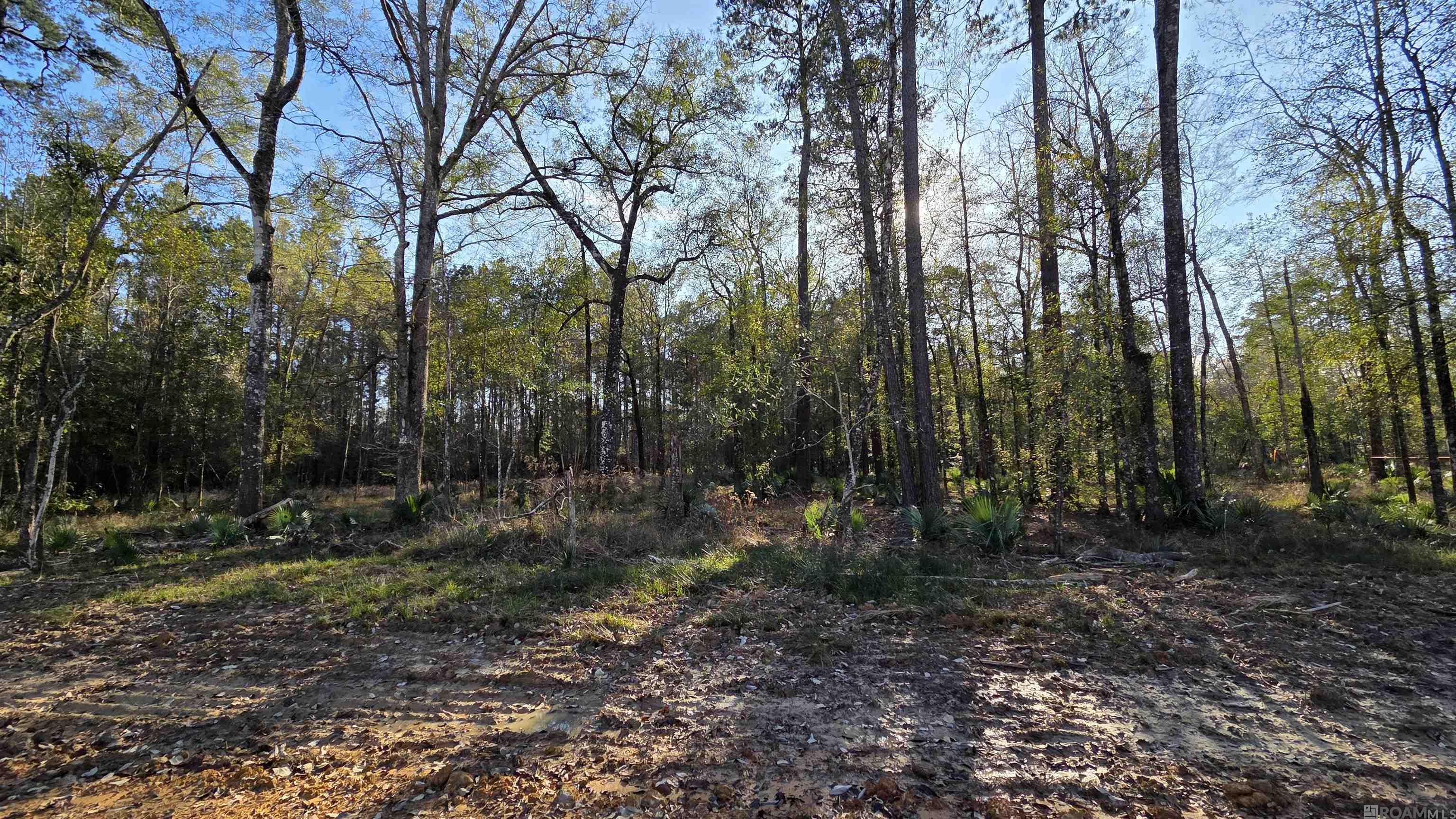Lot 1 Livingston Farms Lane, Livingston, LA, 70754