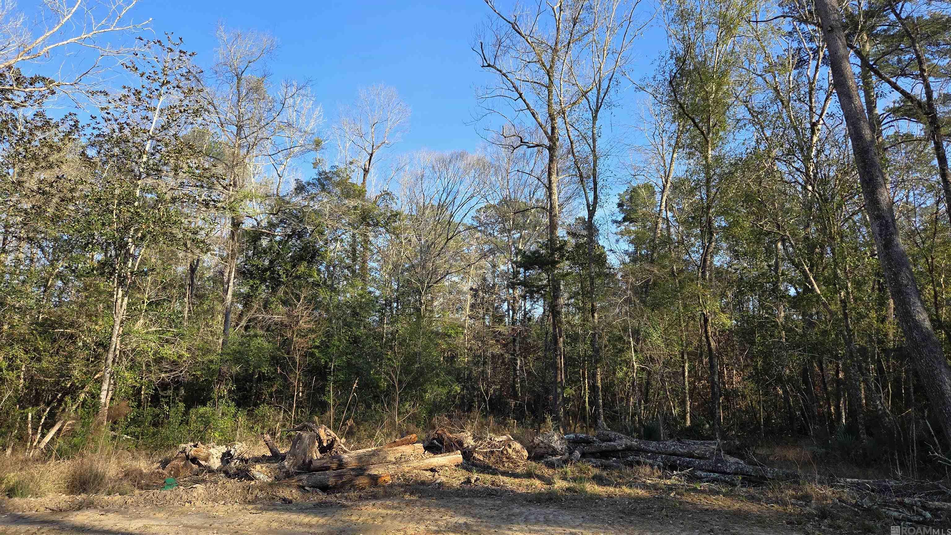 Lot 1 Livingston Farms Lane, Livingston, LA, 70754