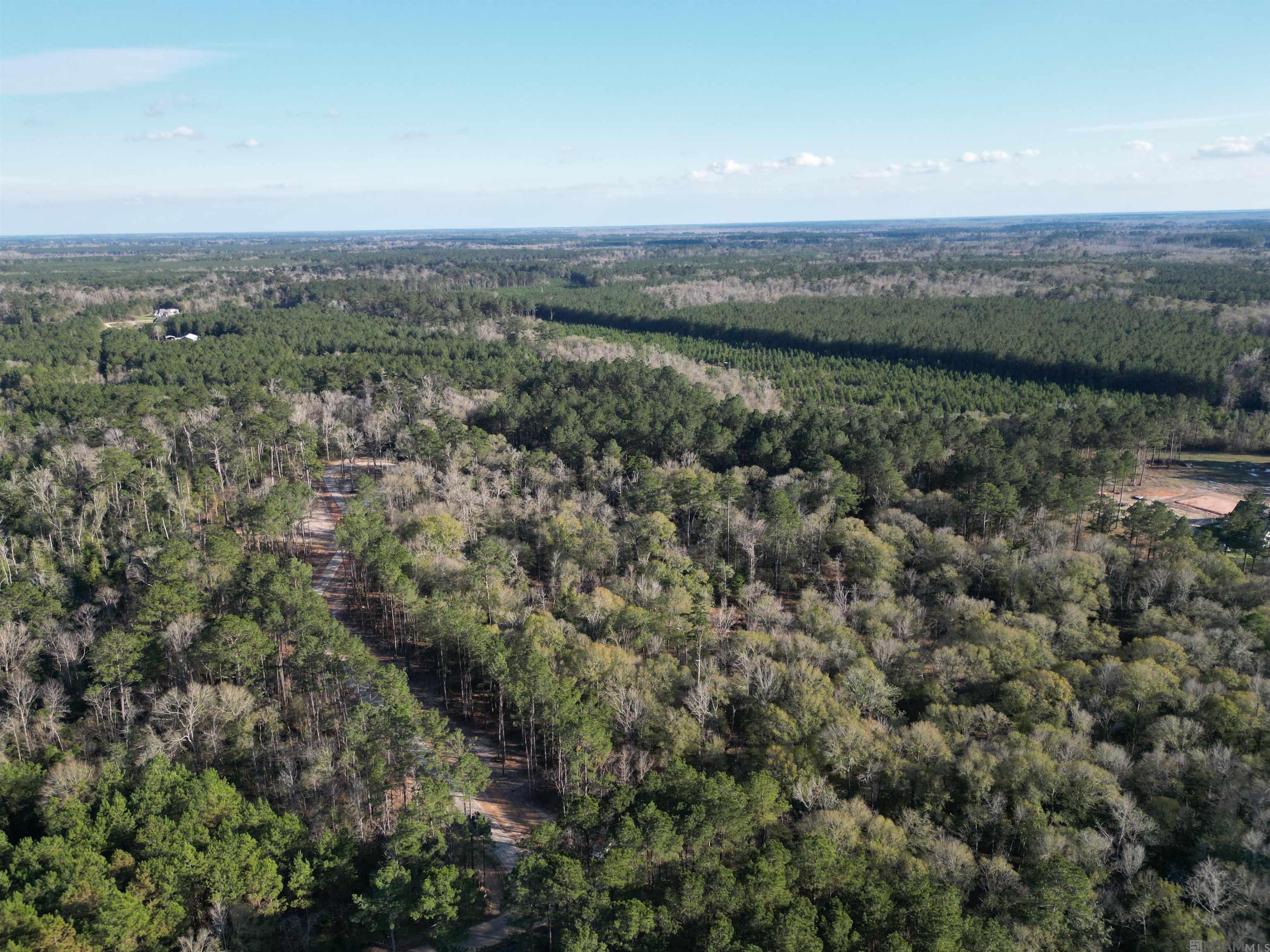 Lot 1 Livingston Farms Lane, Livingston, LA, 70754