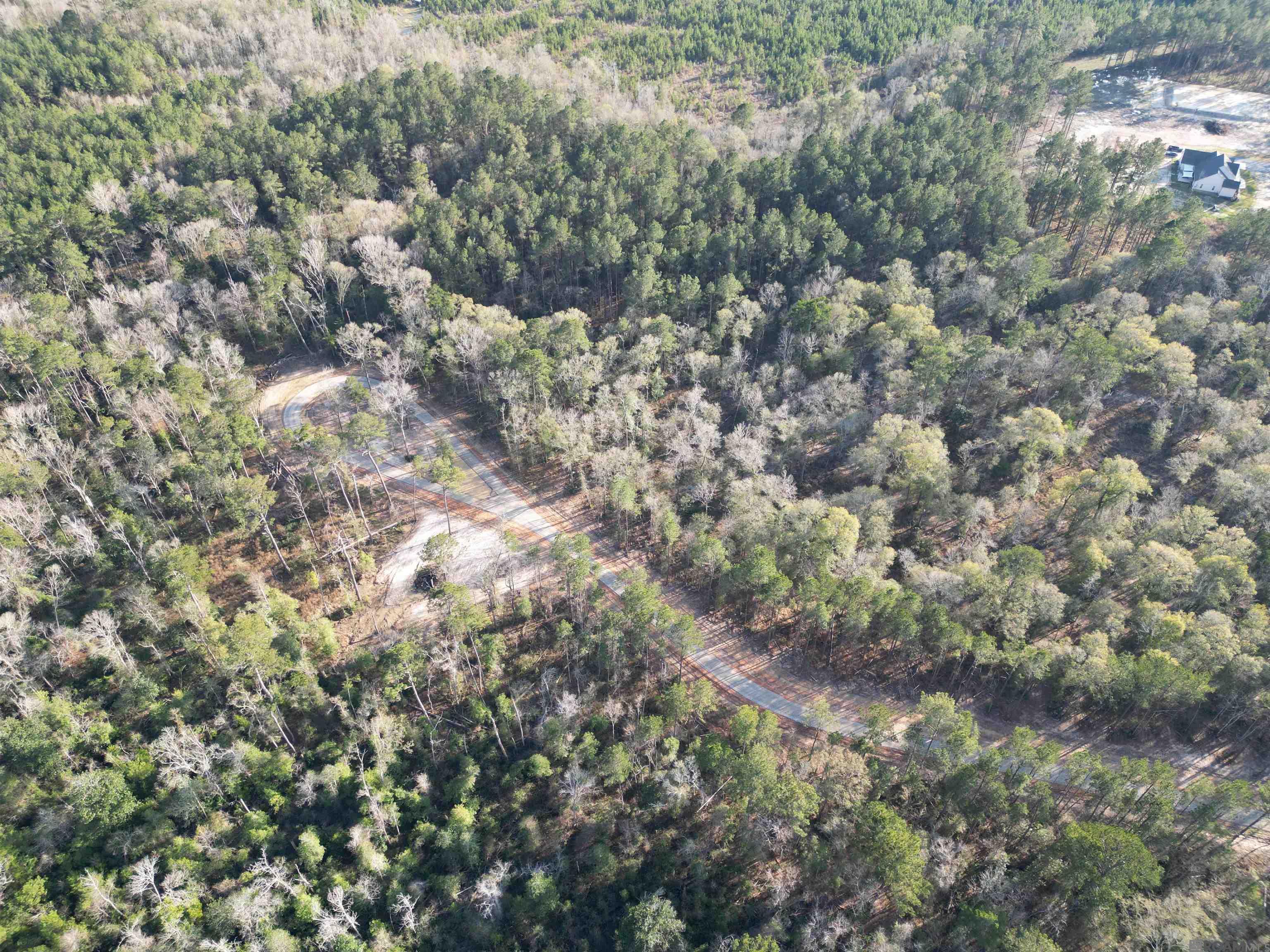 Lot 5 Livingston Farms Lane, Livingston, LA, 70754