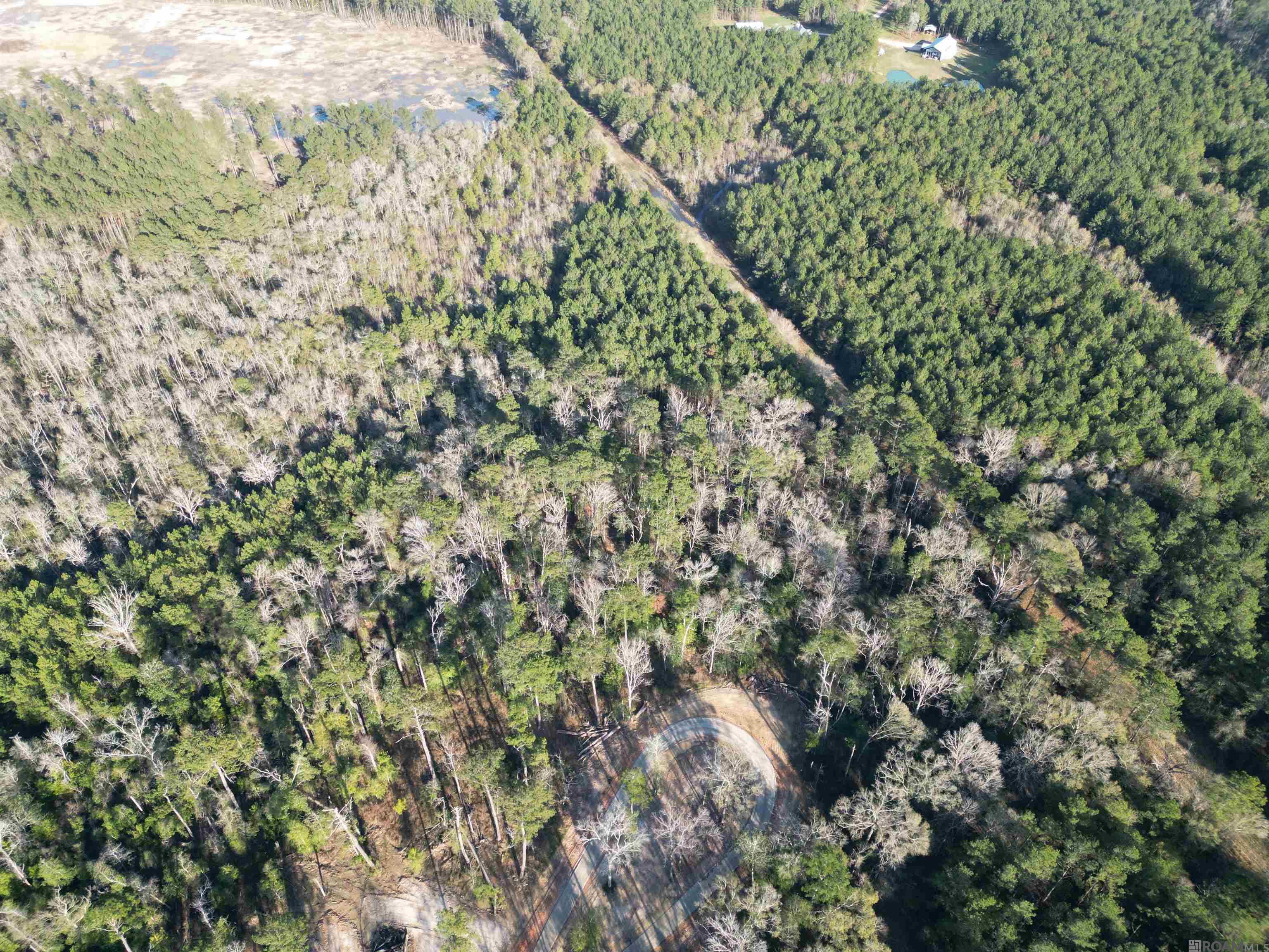 Lot 5 Livingston Farms Lane, Livingston, LA, 70754