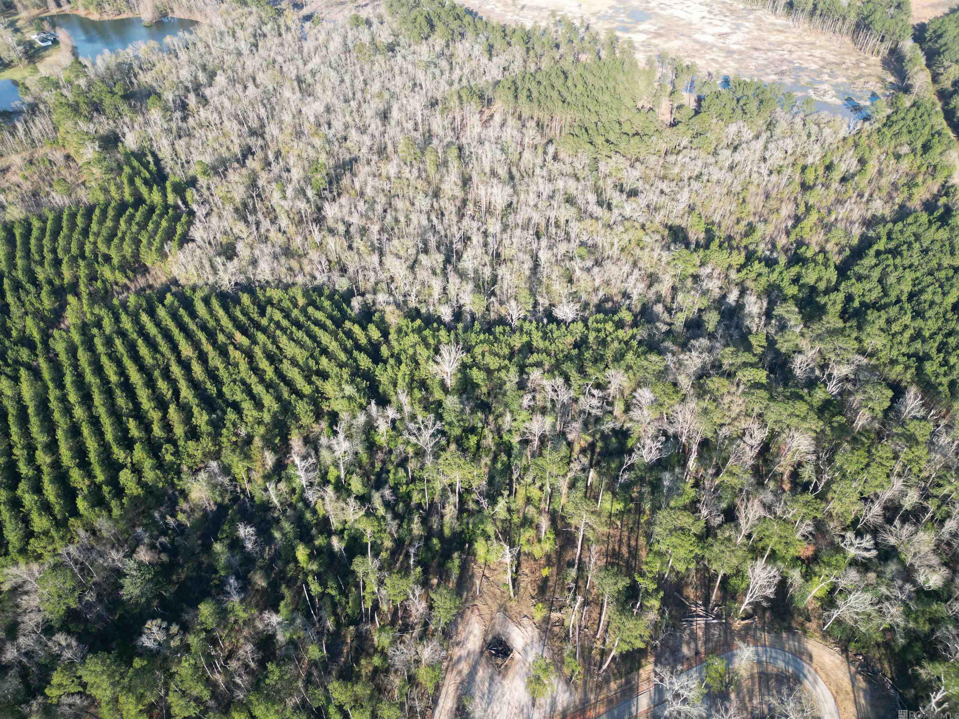 Lot 5 Livingston Farms Lane, Livingston, LA, 70754