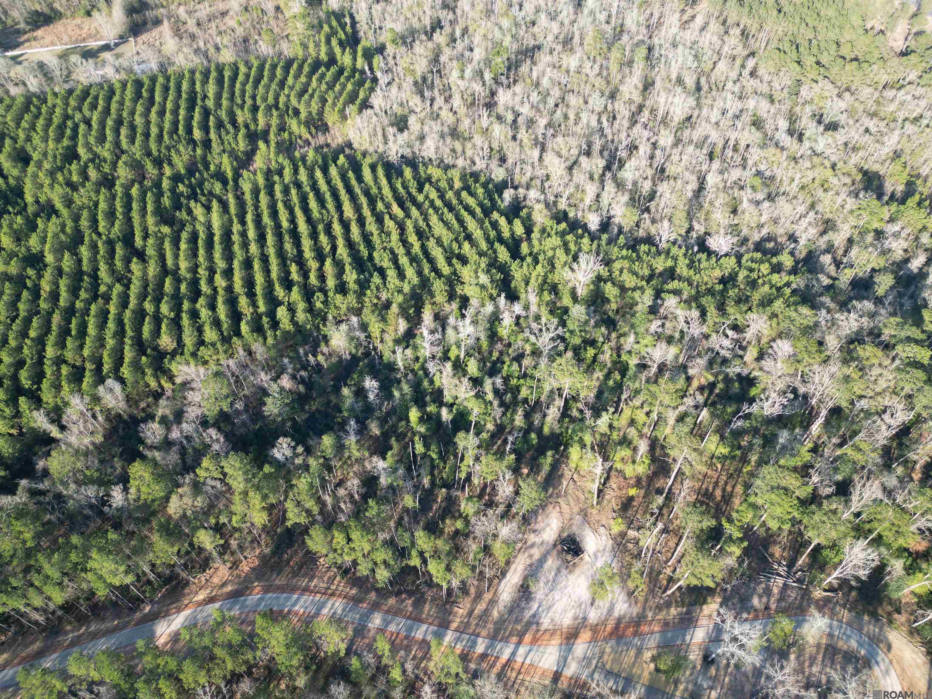 Lot 5 Livingston Farms Lane, Livingston, LA, 70754