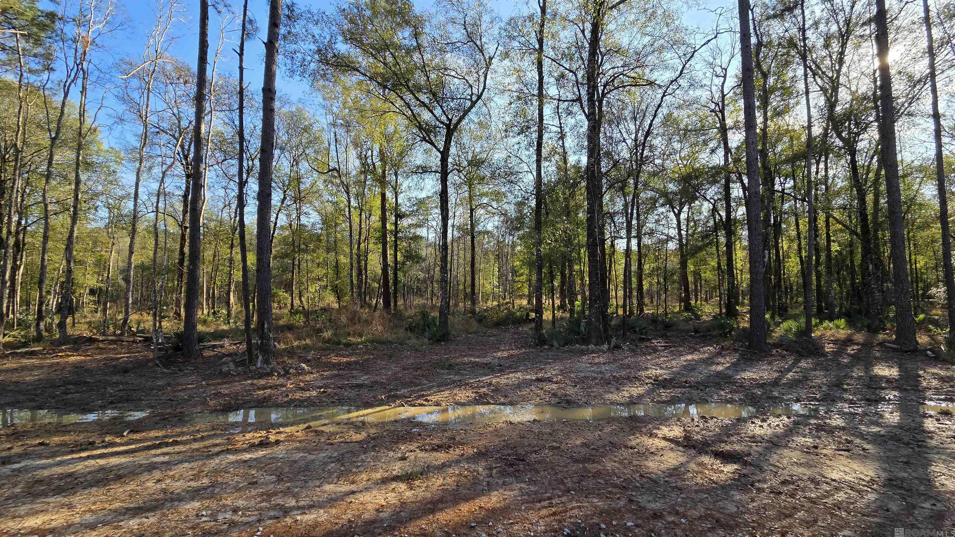Lot 5 Livingston Farms Lane, Livingston, LA, 70754