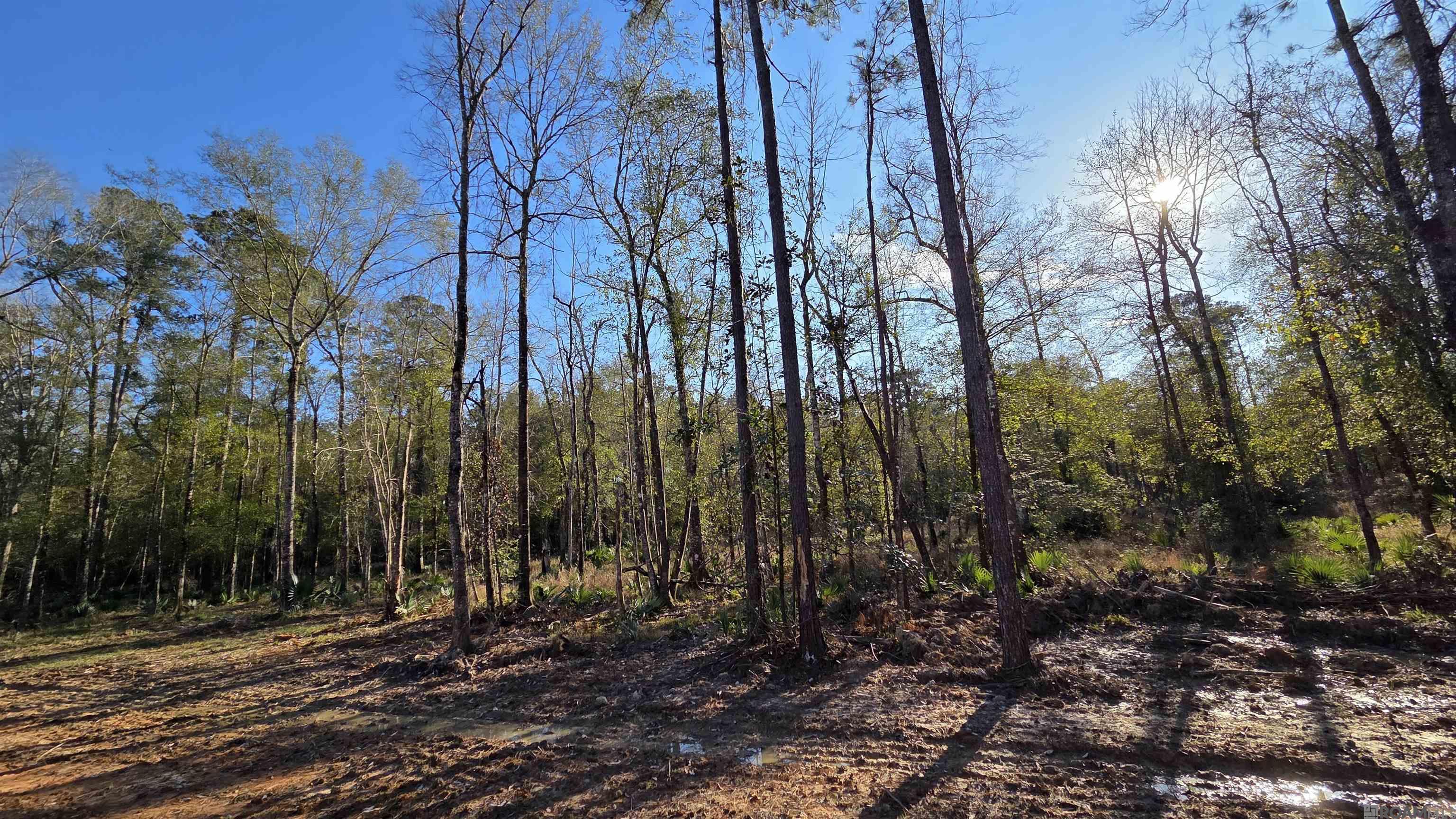 Lot 5 Livingston Farms Lane, Livingston, LA, 70754