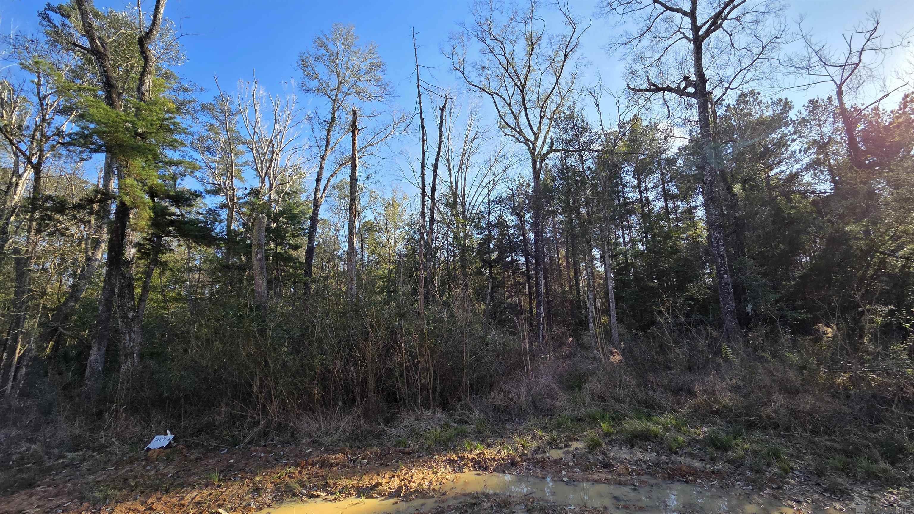 Lot 5 Livingston Farms Lane, Livingston, LA, 70754