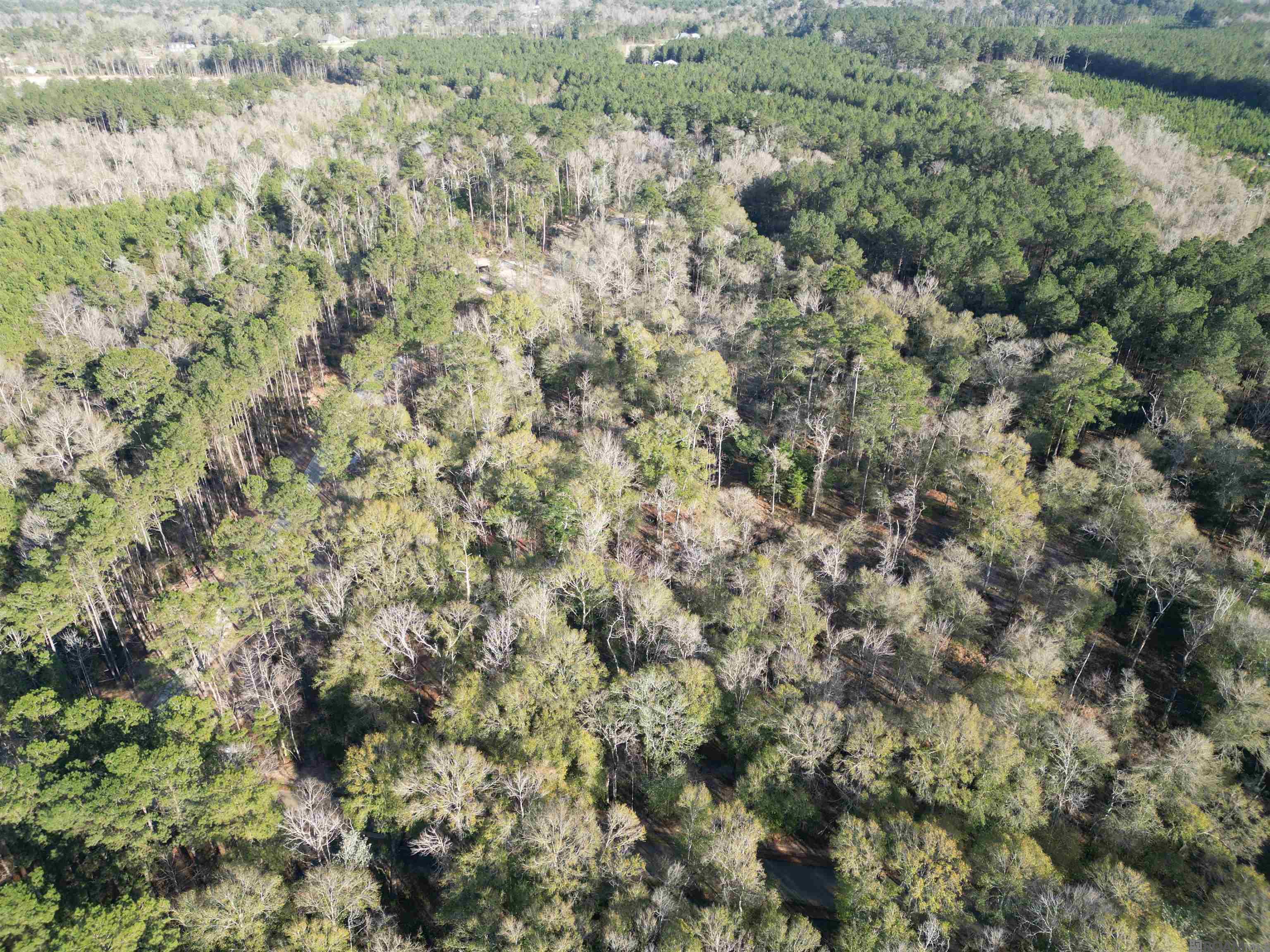 Lot 5 Livingston Farms Lane, Livingston, LA, 70754