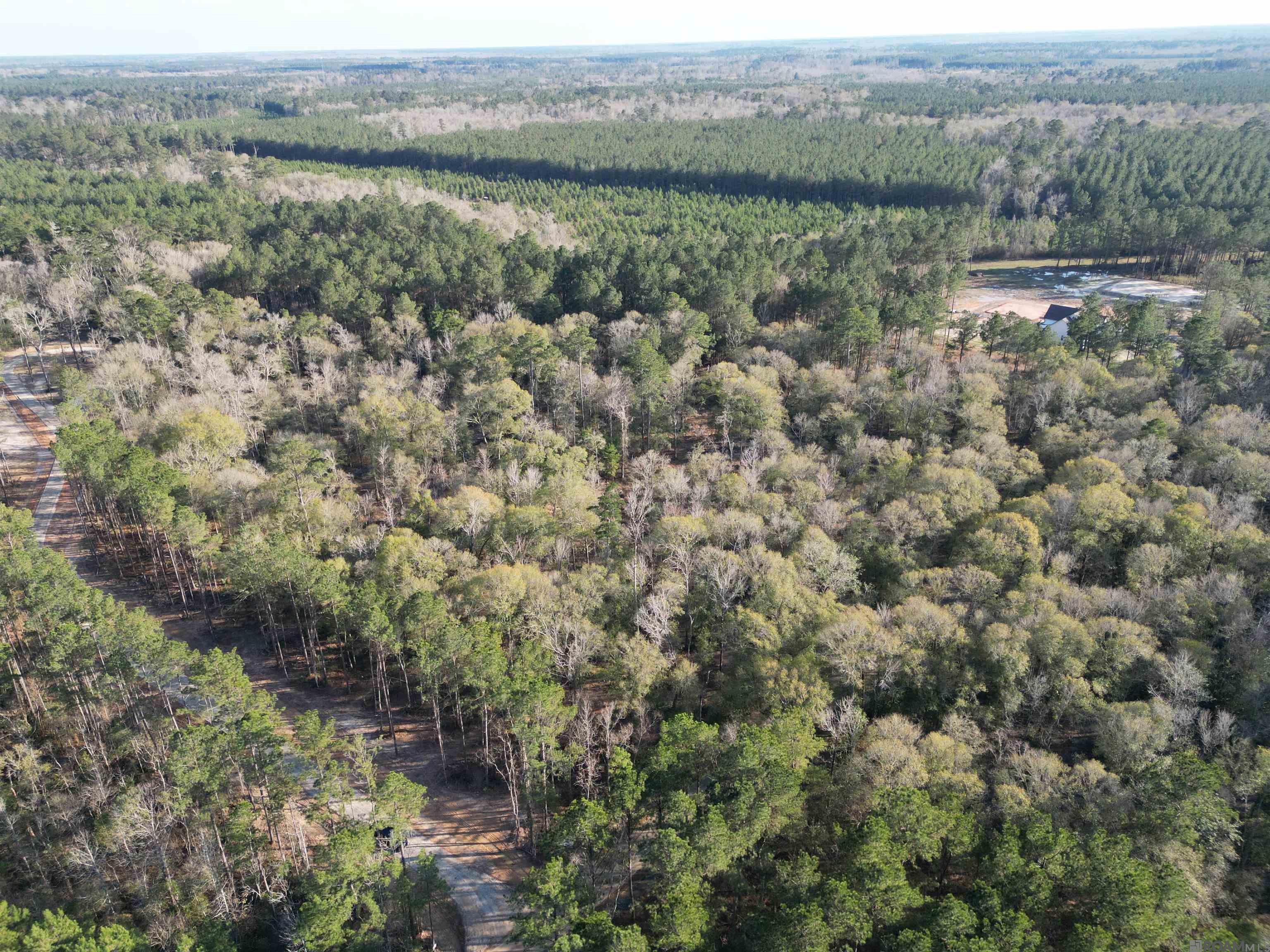 Lot 6 Livingston Farms Lane, Livingston, LA, 70754