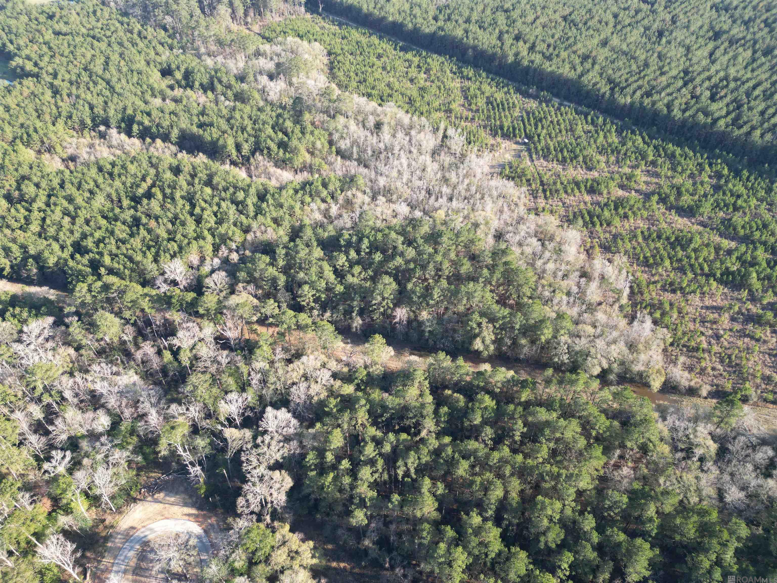 Lot 6 Livingston Farms Lane, Livingston, LA, 70754