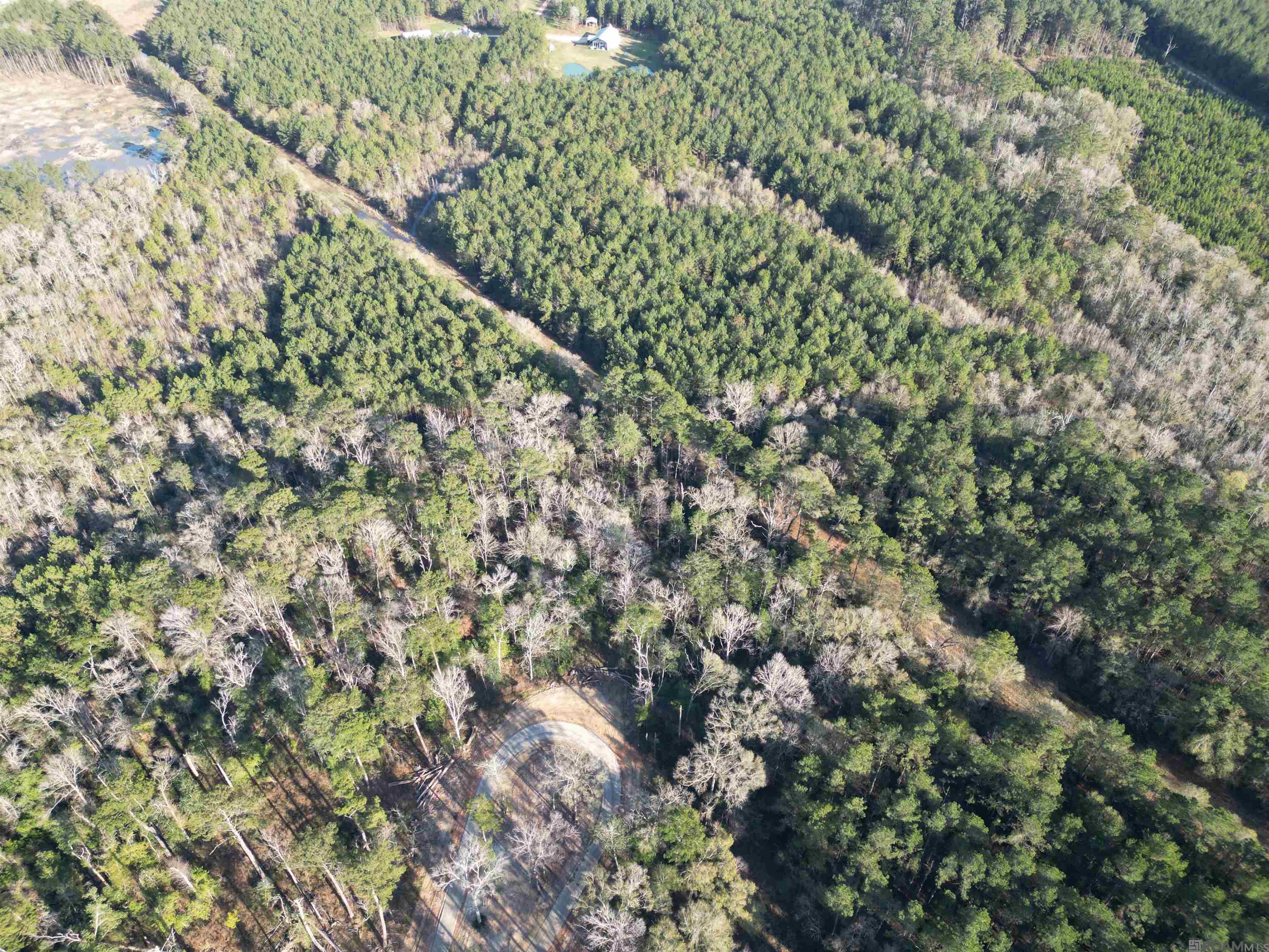 Lot 6 Livingston Farms Lane, Livingston, LA, 70754