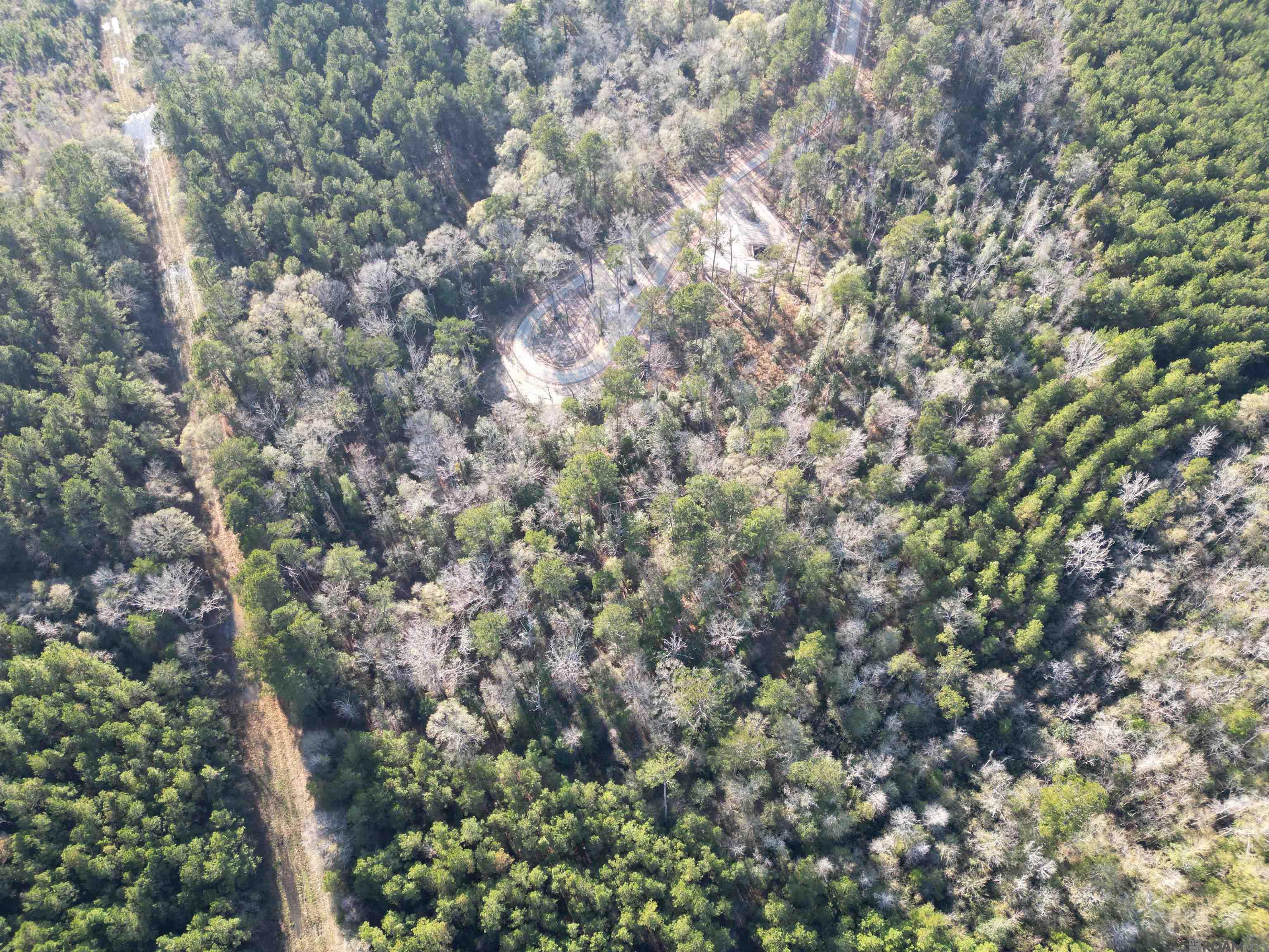 Lot 6 Livingston Farms Lane, Livingston, LA, 70754