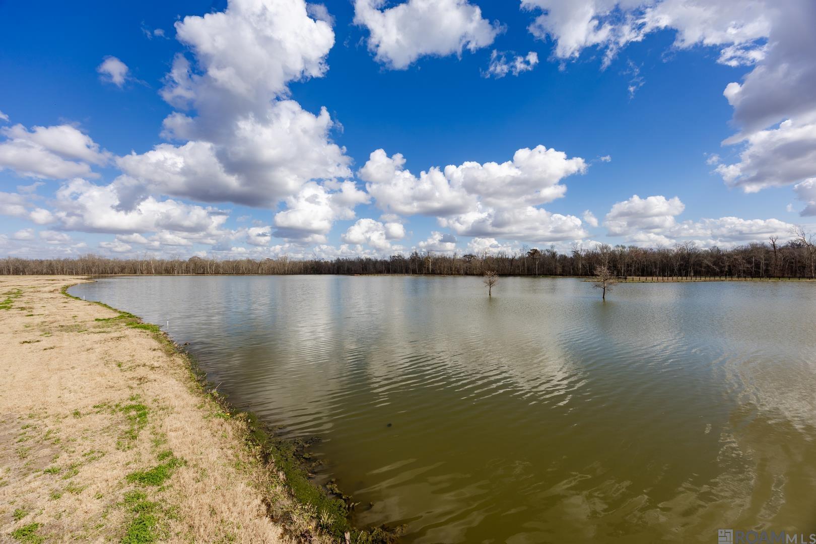 5963 Mill Town Rd, Brusly, LA, 70719