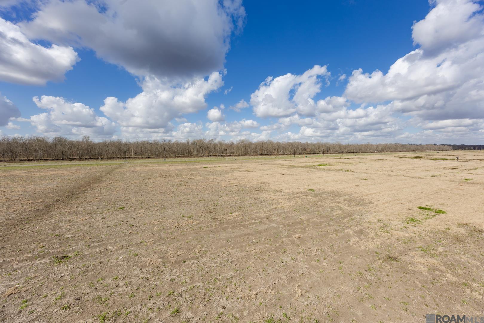 5963 Mill Town Rd, Brusly, LA, 70719