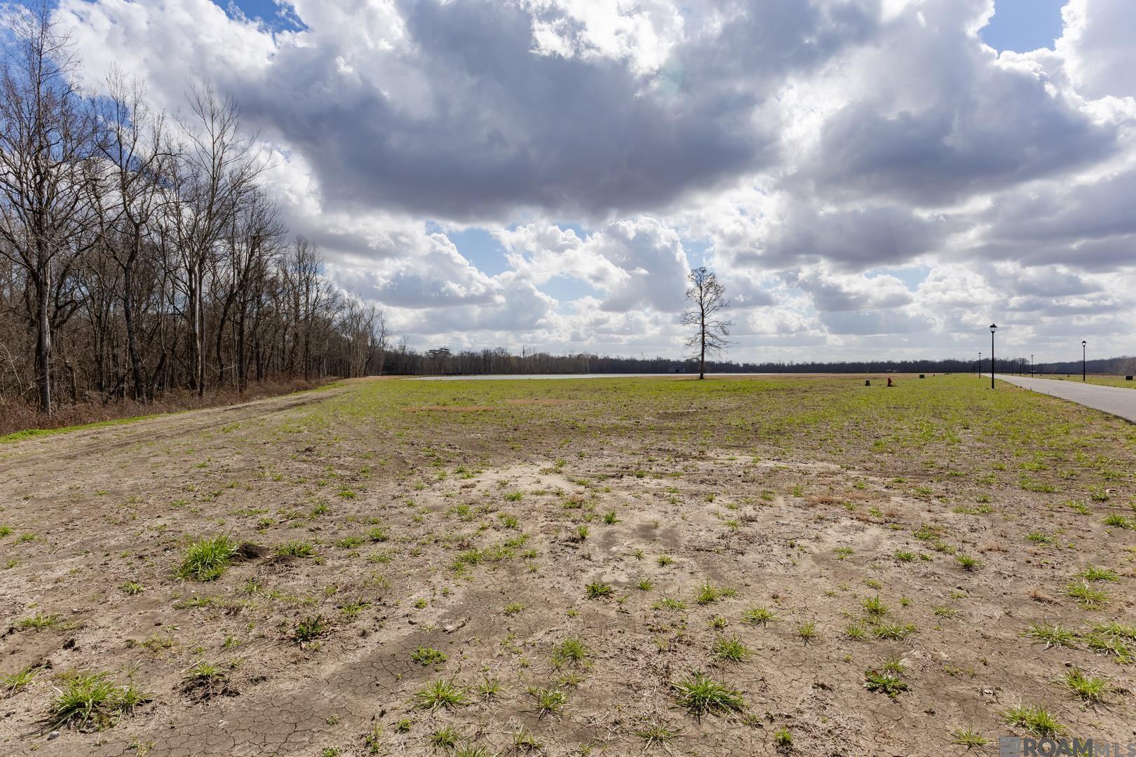 5963 Mill Town Rd, Brusly, LA, 70719