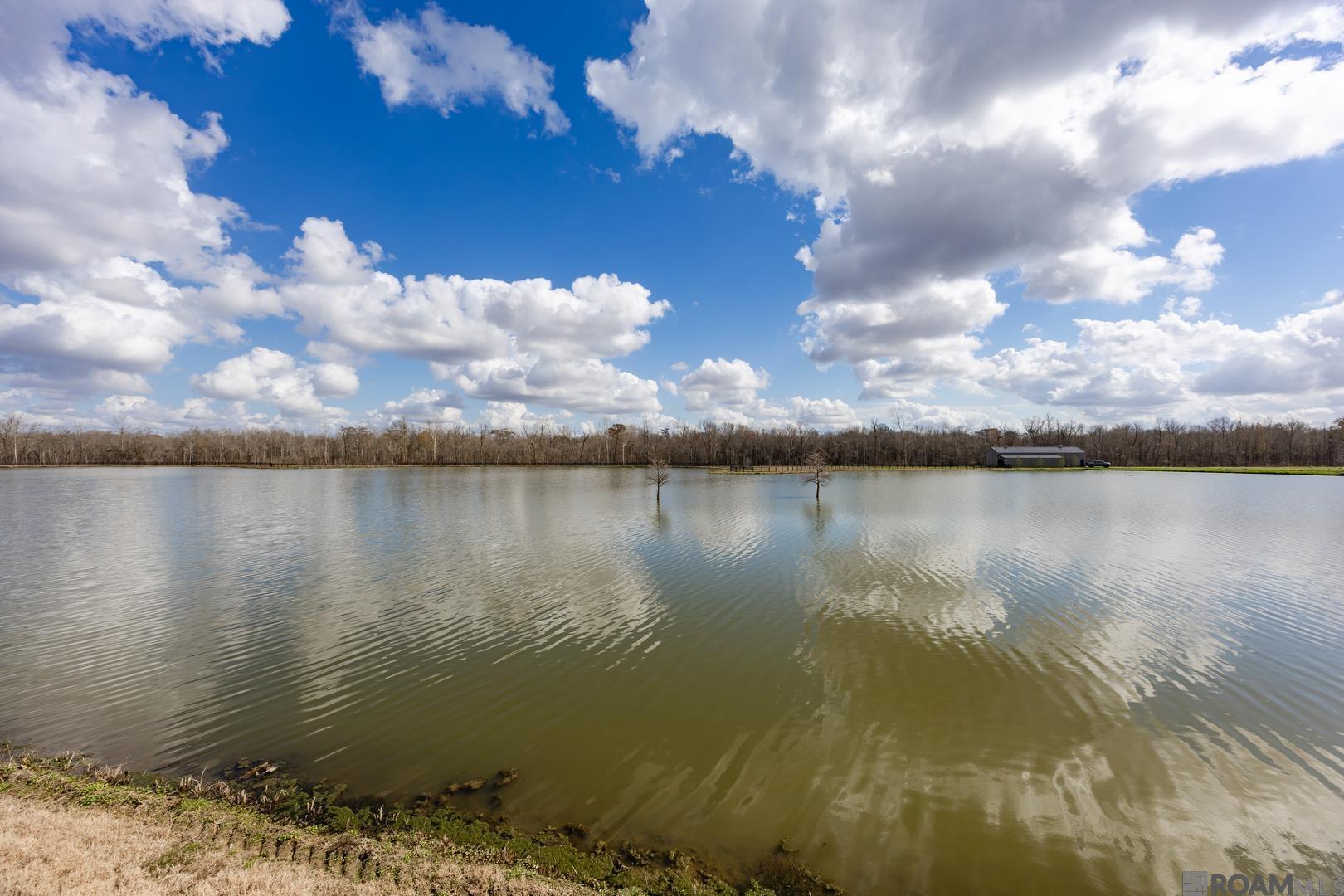 6019 Mill Town Rd, Brusly, LA, 70719