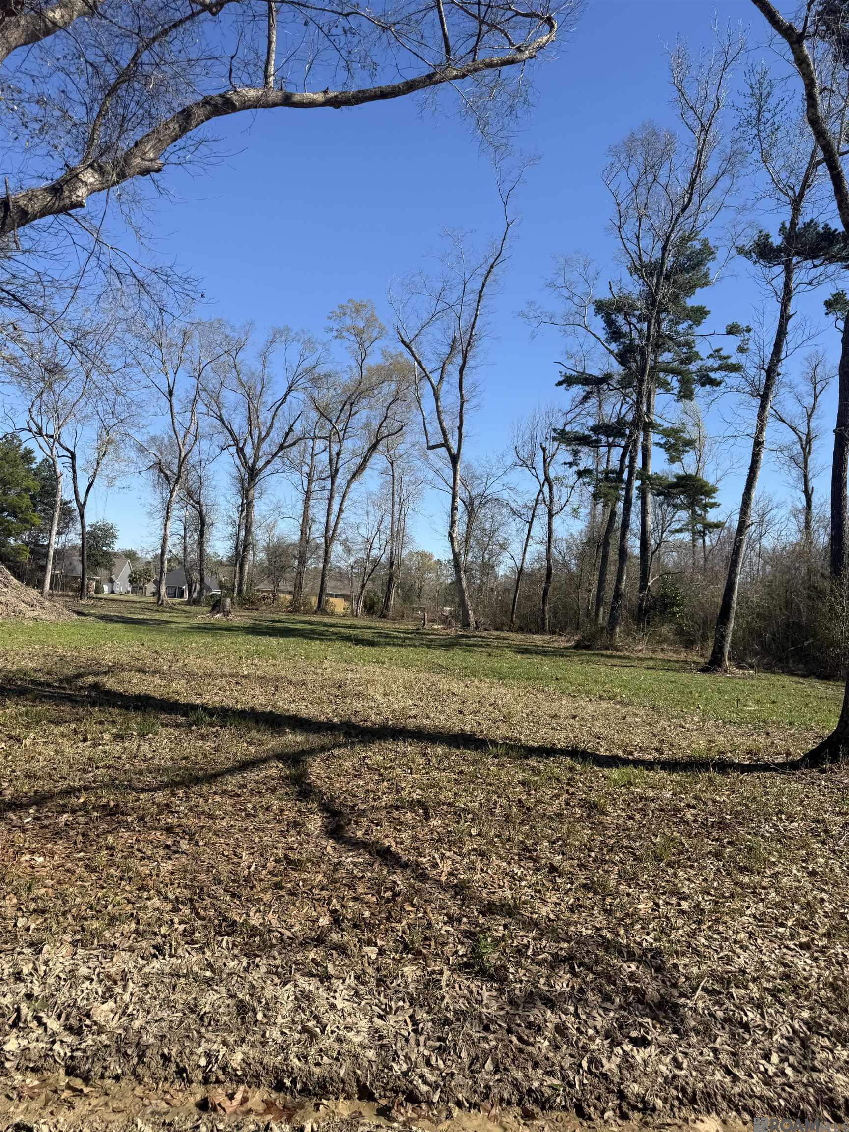 2014 Convention, Baton Rouge, LA, 70806