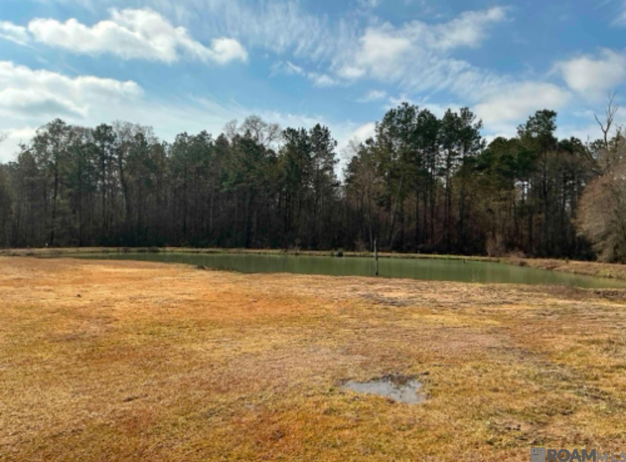 7054 Panama Manor Drive, Gonzales, LA, 70737