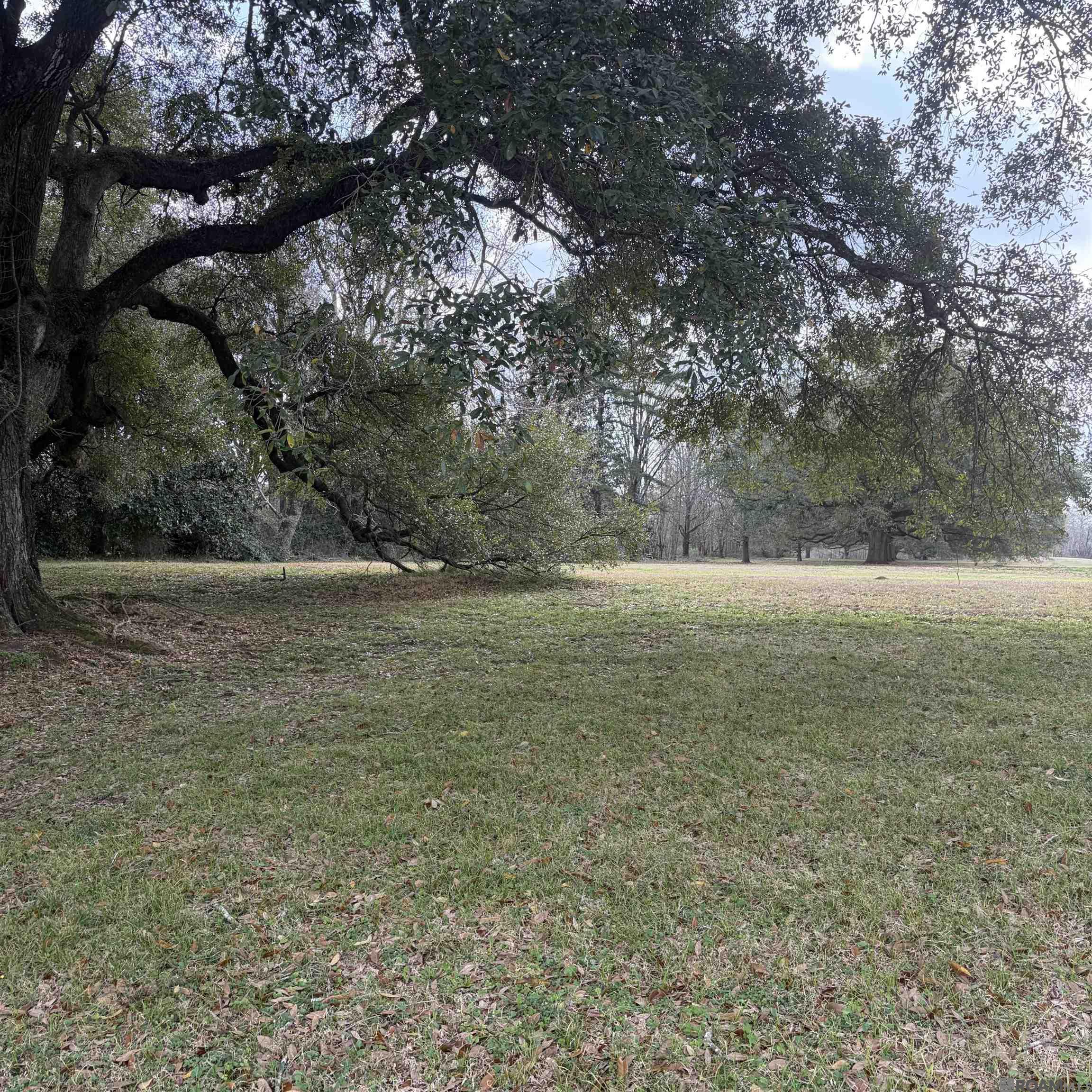 280 Jean Lafitte Ave, Baton Rouge, LA, 70810