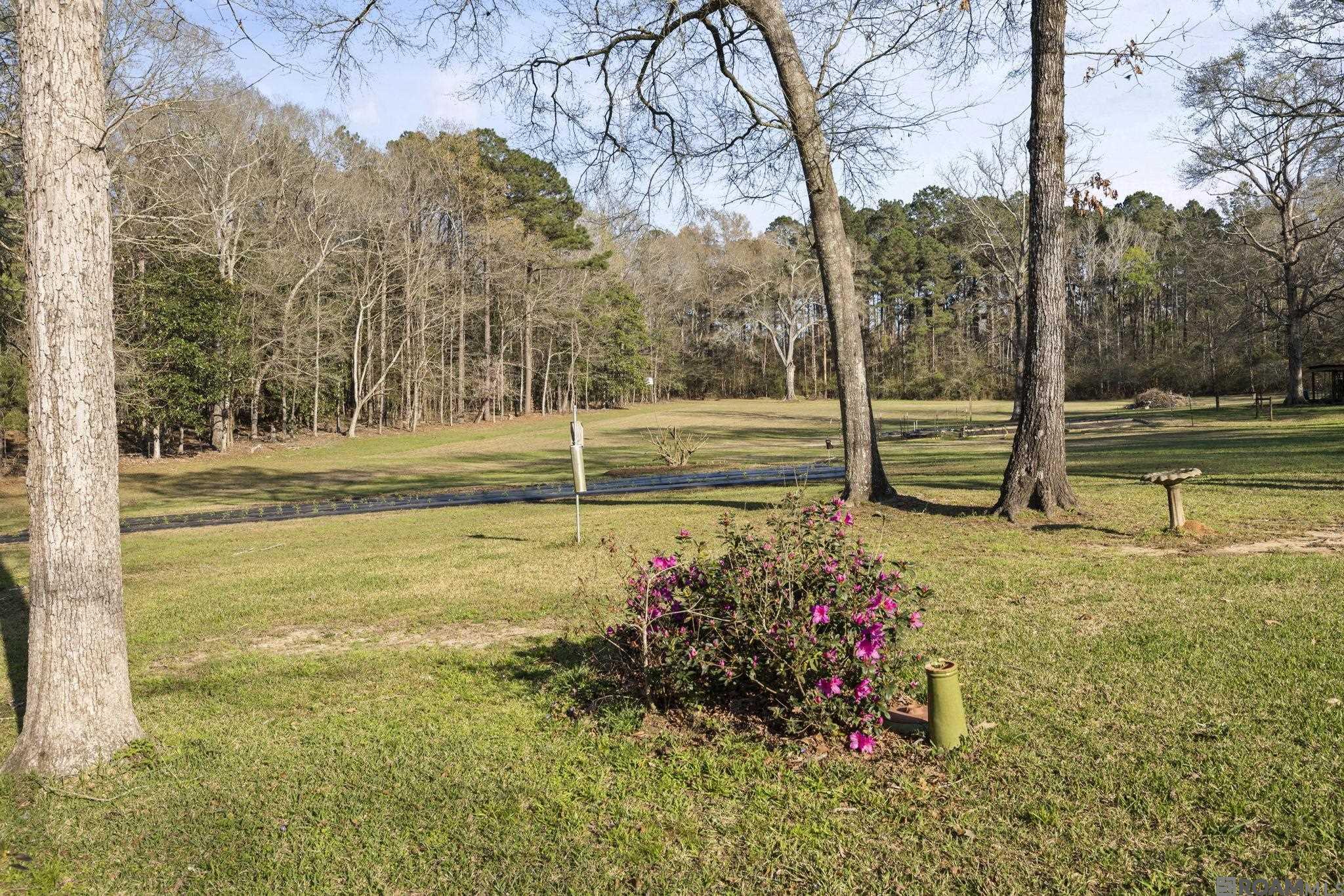 9821 Bank St Extension, Clinton, LA, 70722