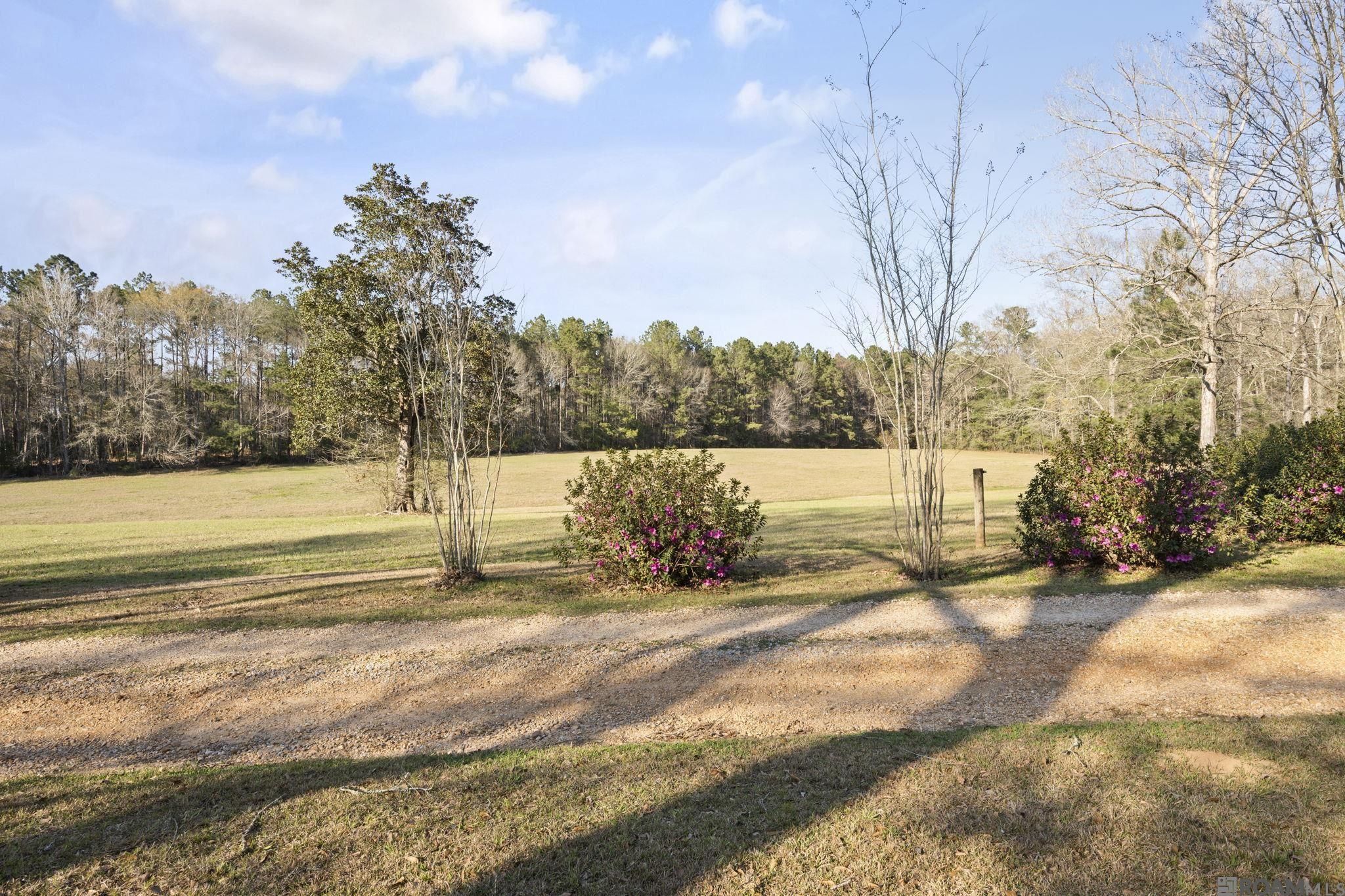 9821 Bank St Extension, Clinton, LA, 70722