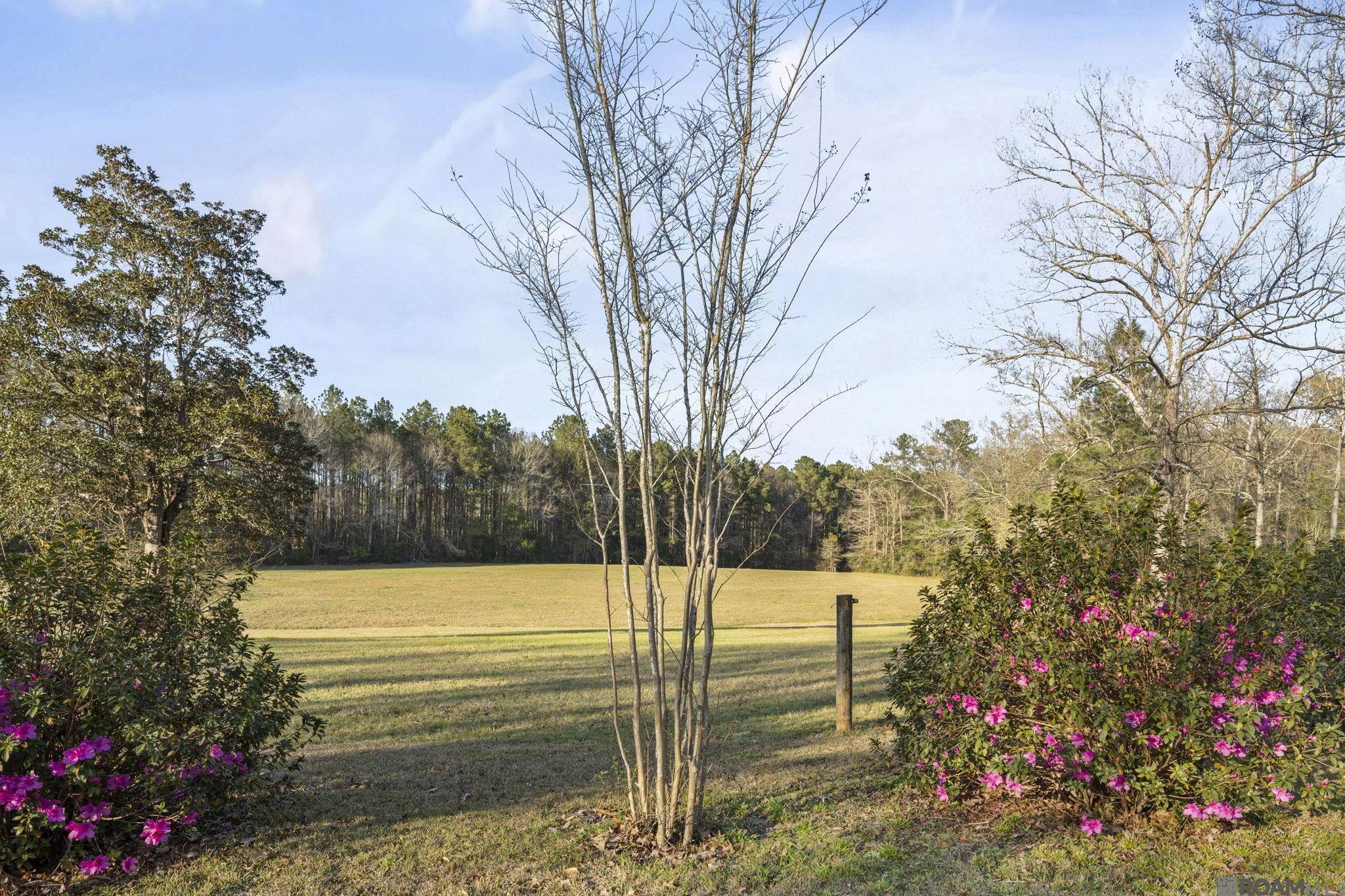 9821 Bank St Extension, Clinton, LA, 70722