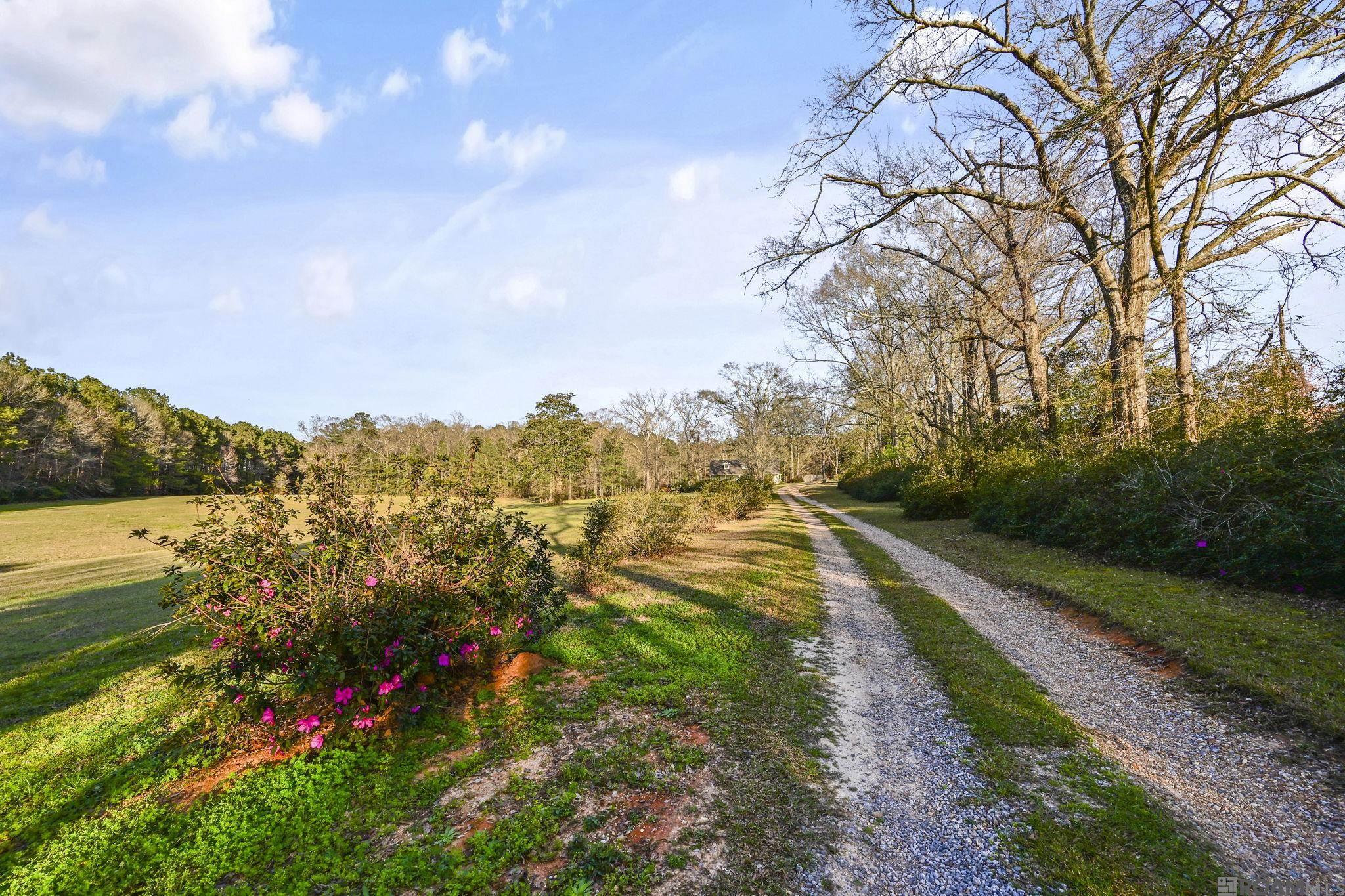 9821 Bank St Extension, Clinton, LA, 70722