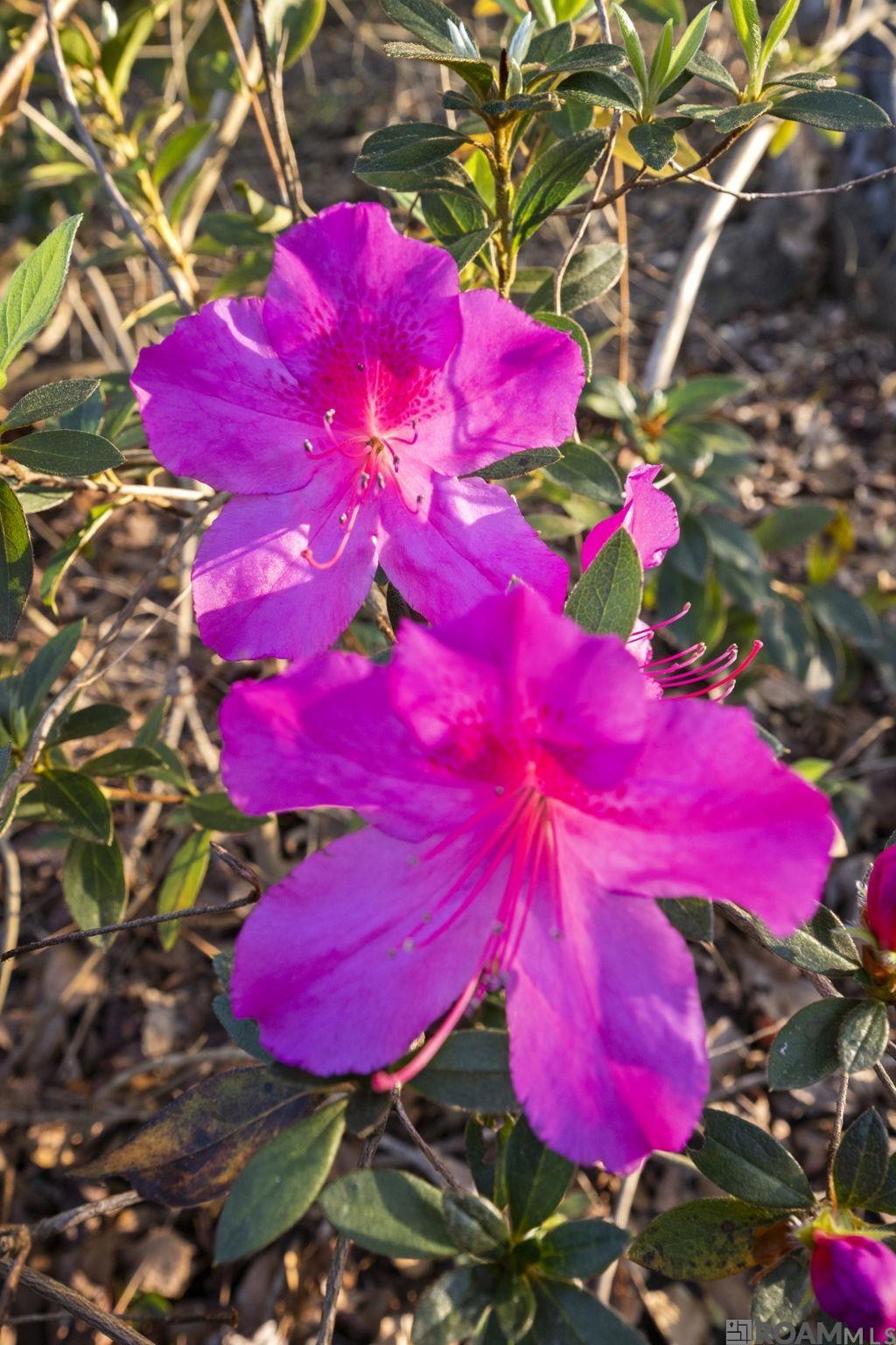 9821 Bank St Extension, Clinton, LA, 70722