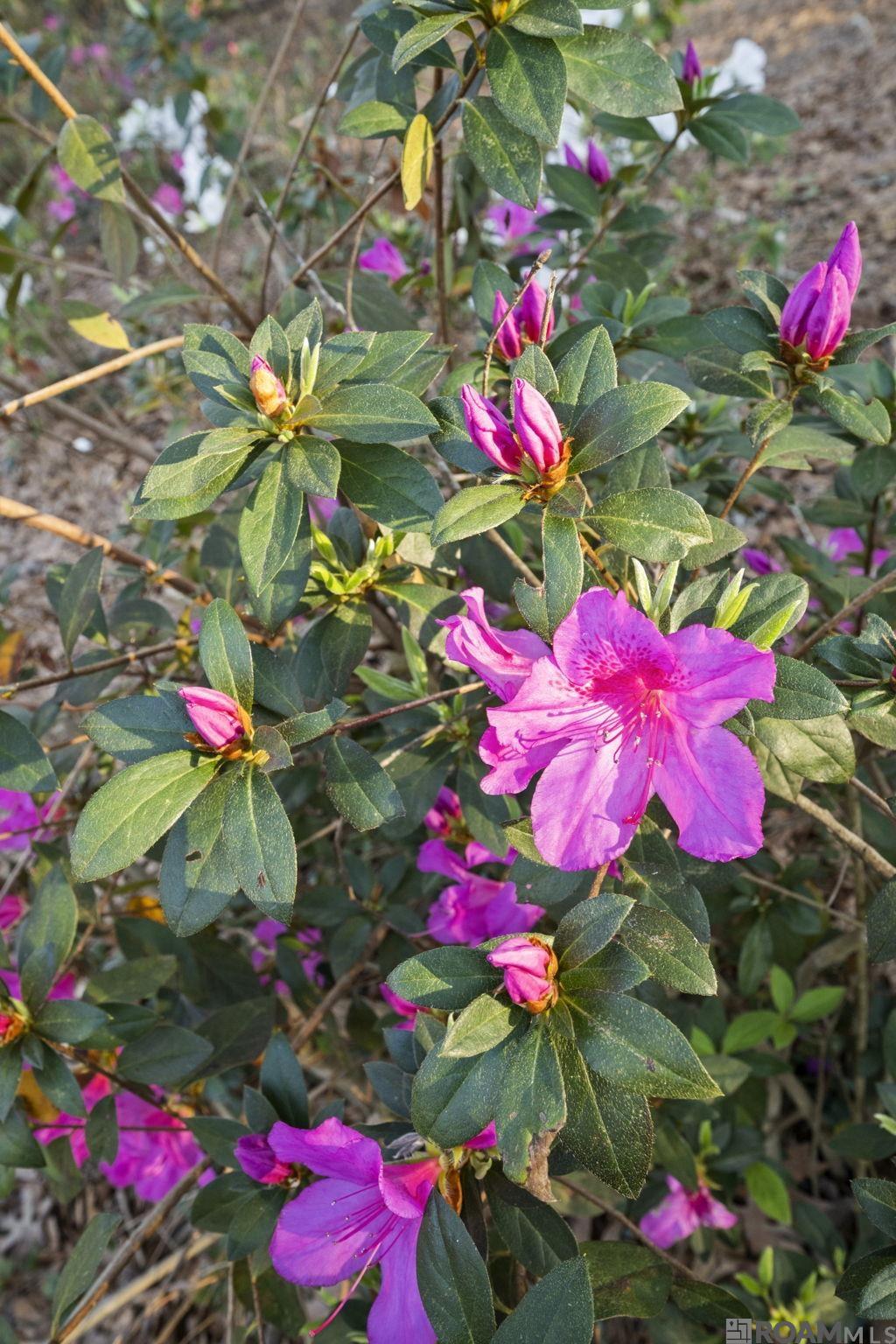 9821 Bank St Extension, Clinton, LA, 70722