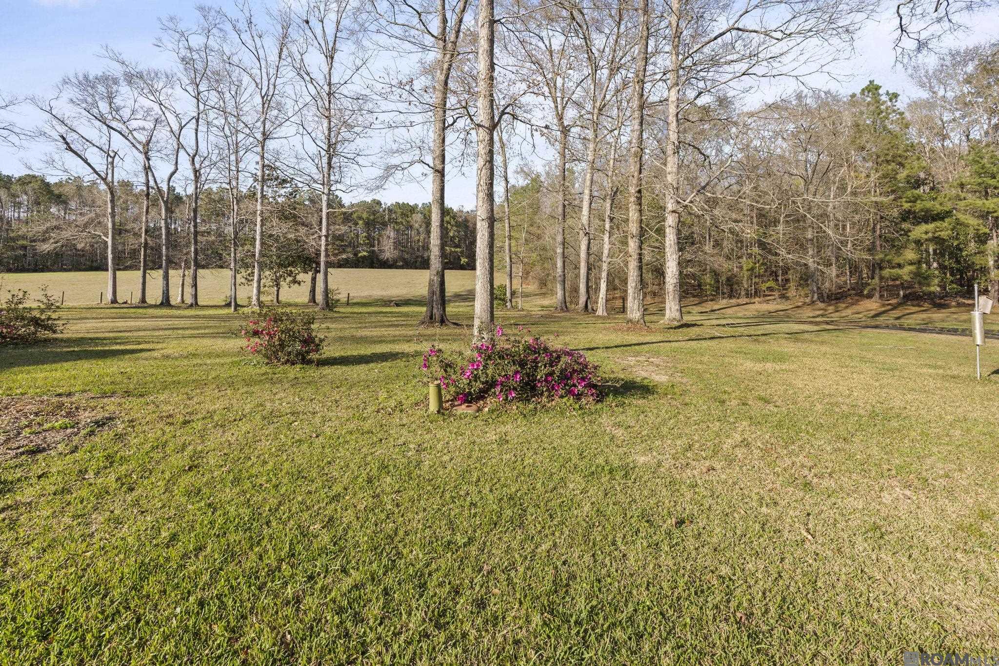 9821 Bank St Extension, Clinton, LA, 70722