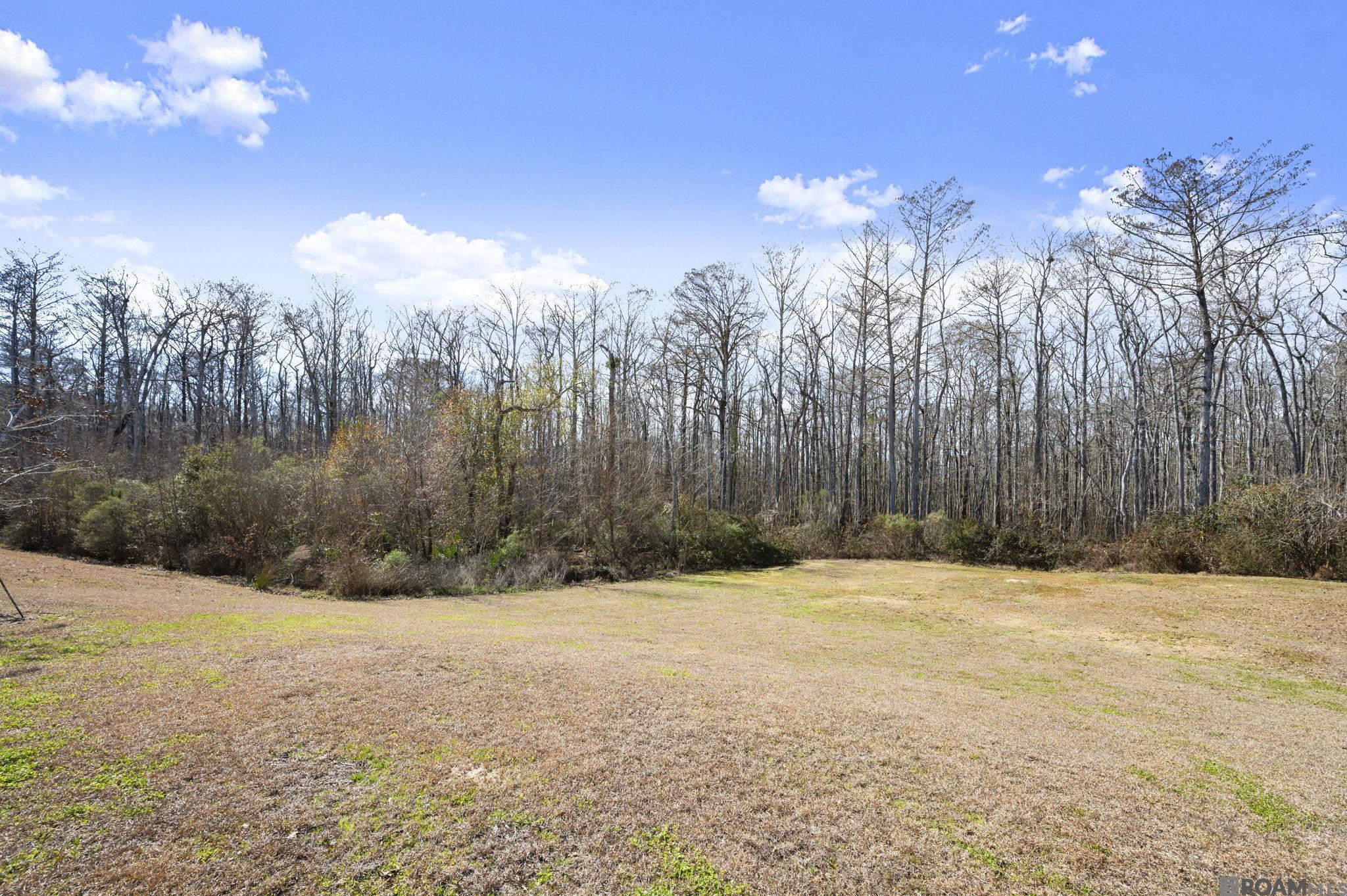 23373 Cypress Cove, Springfield, LA, 70462