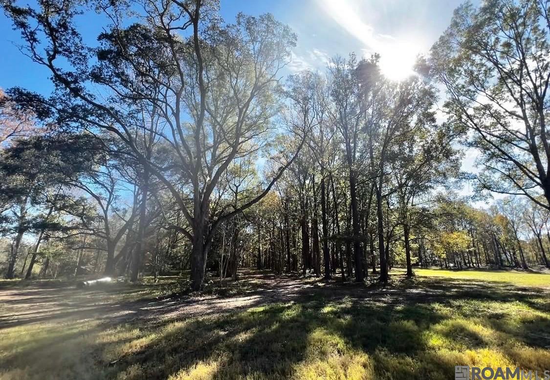 4036 Oak Run Dr, St Francisville, LA, 70775