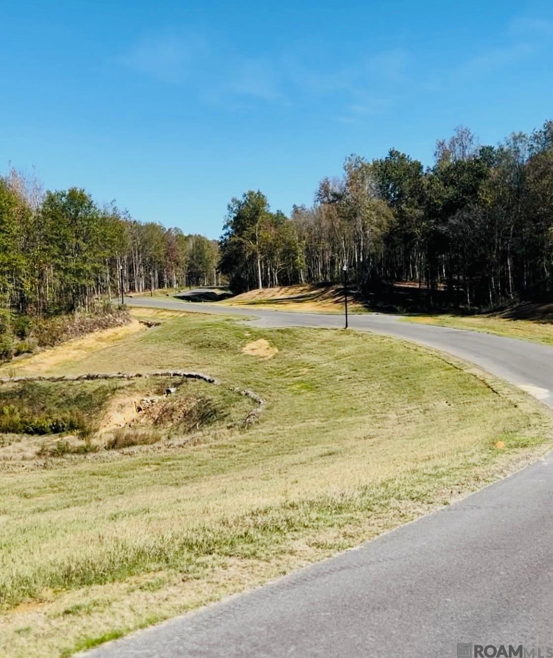 4036 Oak Run Dr, St Francisville, LA, 70775