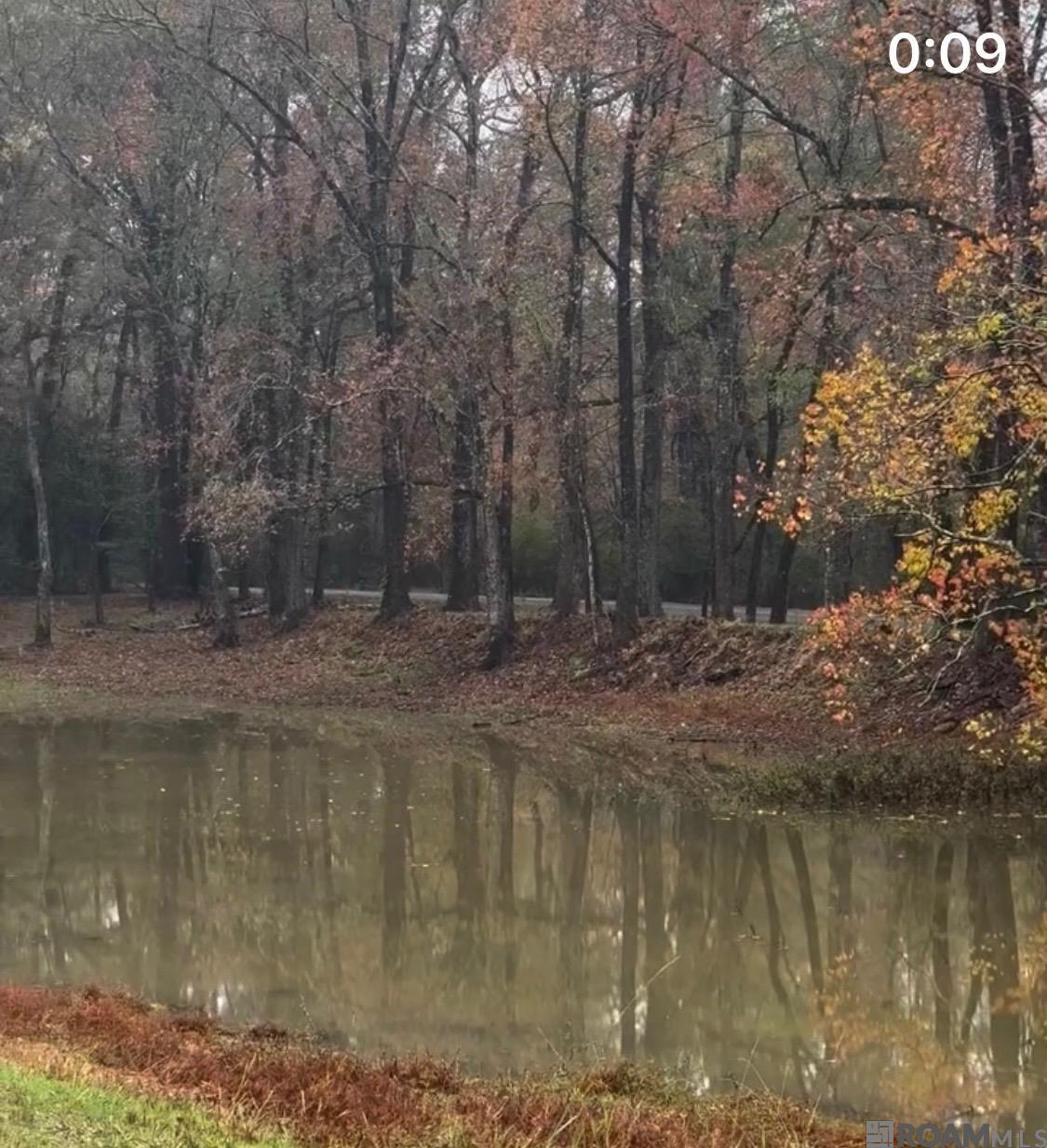 4036 Oak Run Dr, St Francisville, LA, 70775