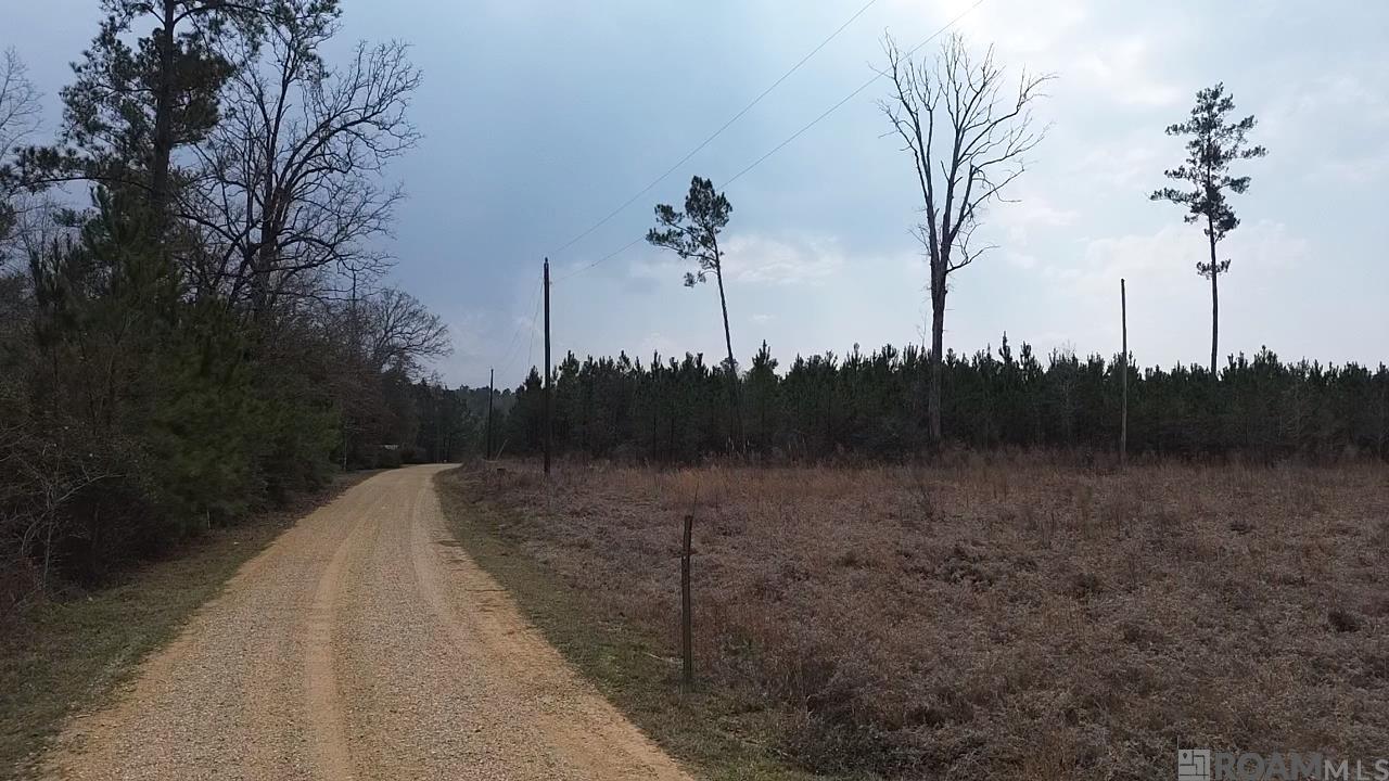 Lot 32 Southshire Ave, Livingston, LA, 70754